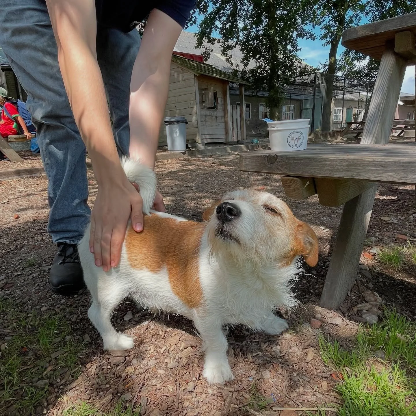 What a silly little guy :P