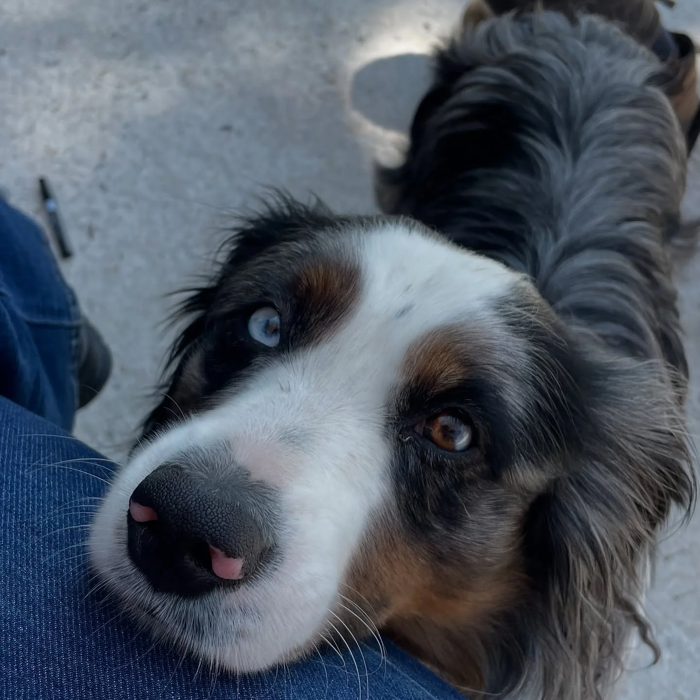 Great company, learned lots, and my knives were sharper than I thought