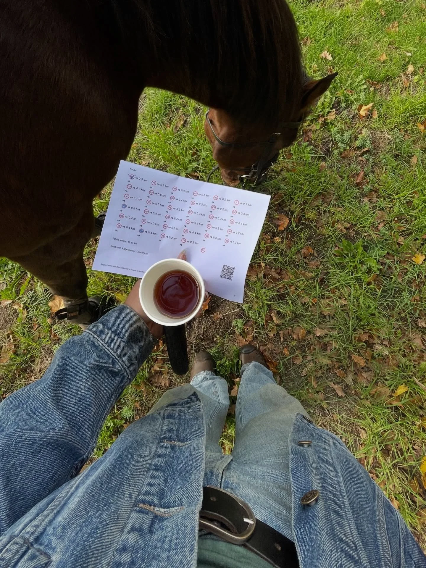 Missing the fall sunshine 🍂💛