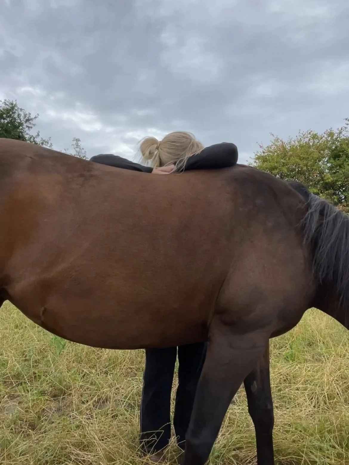 Persoon ligt op de rug over een bruine paard in een grasveld, onder een bewolkte hemel.