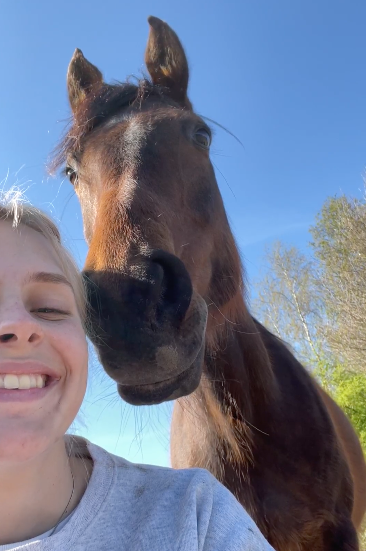 Close-up van een meisje met blond haar die glimlacht, naast een grote bruine paard onder een heldere blauwe hemel, boom in de achtergrond.