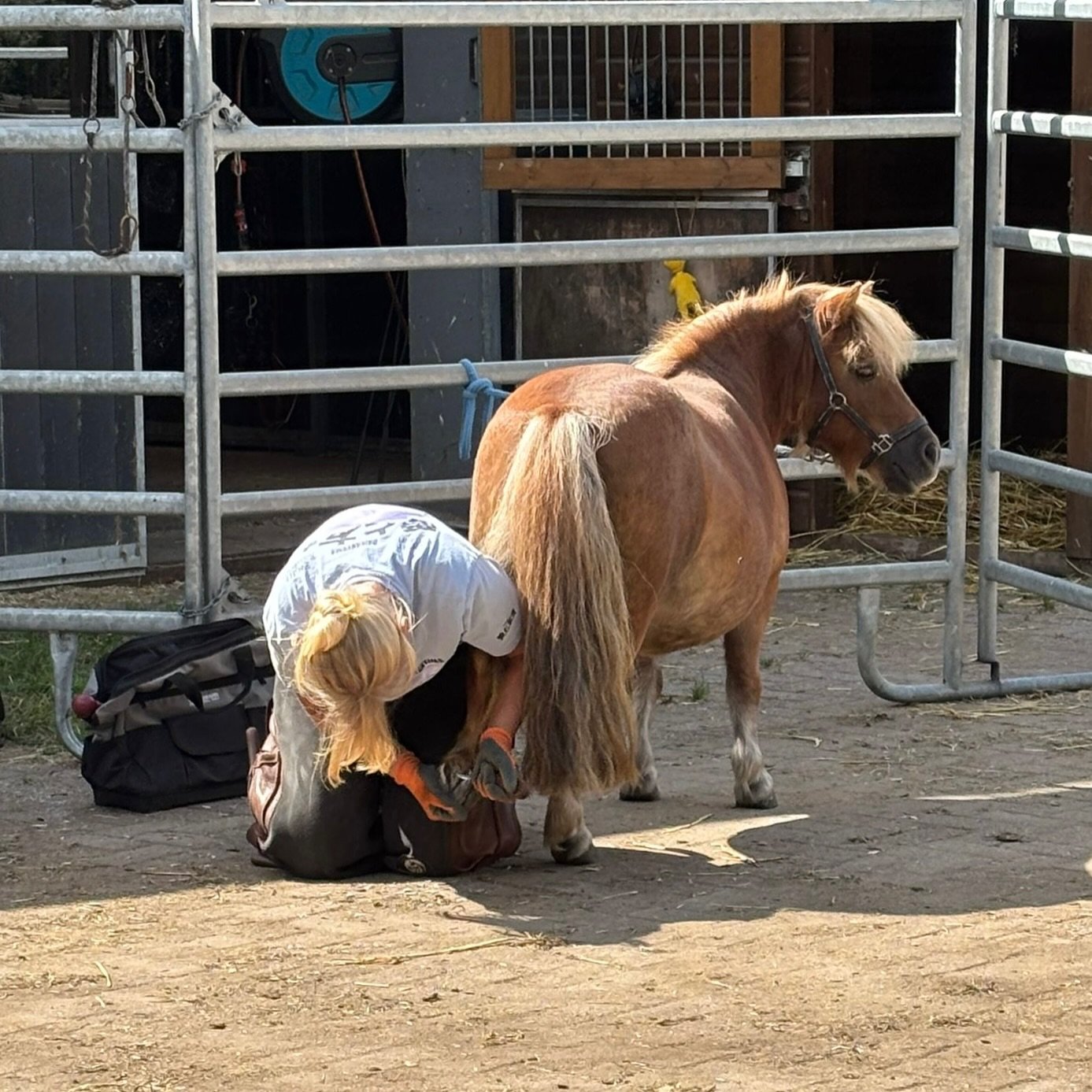 It&rsquo;s interesting how you can get into a zone when focusing, everything around you disappears and time seems to stop.. but realistically the time hasn&rsquo;t  stopped and you realize you&rsquo;ve somehow been working on the same hoof for 40mins