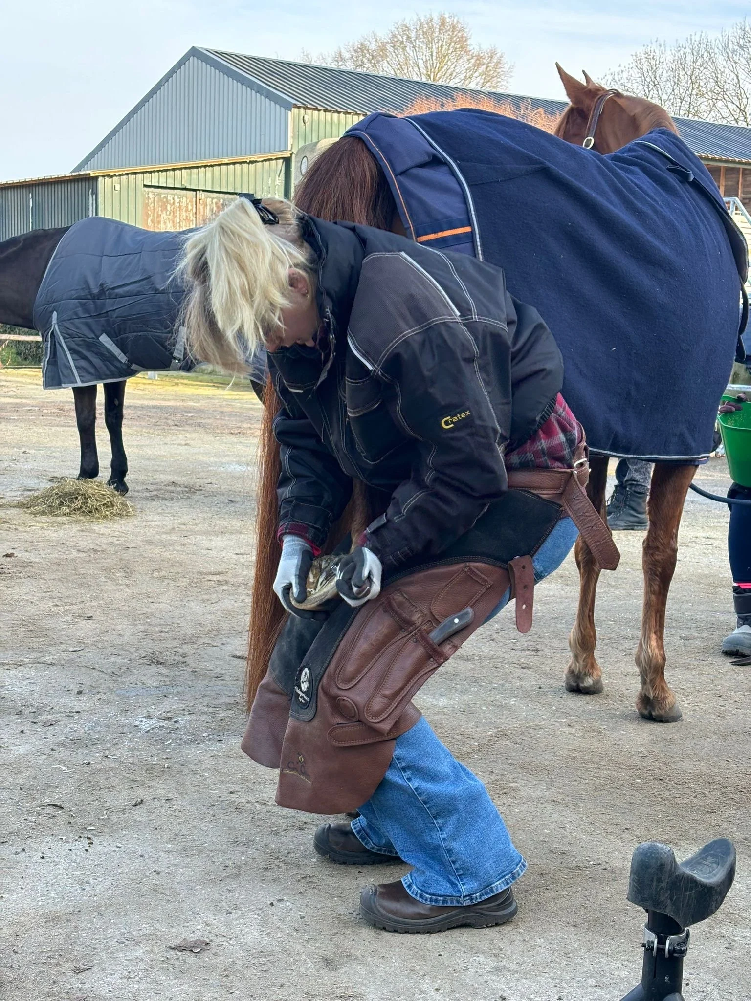 Een vrouw in werkoutfit voert onderhoud uit aan een paardenhoofd met een beugel op een stalterrein.