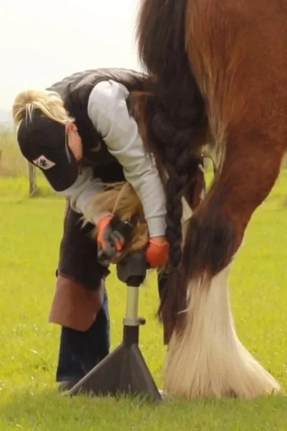 Persoon die een paardenhoofd slijpt met een elektrisch gereedschap op een grasveld.