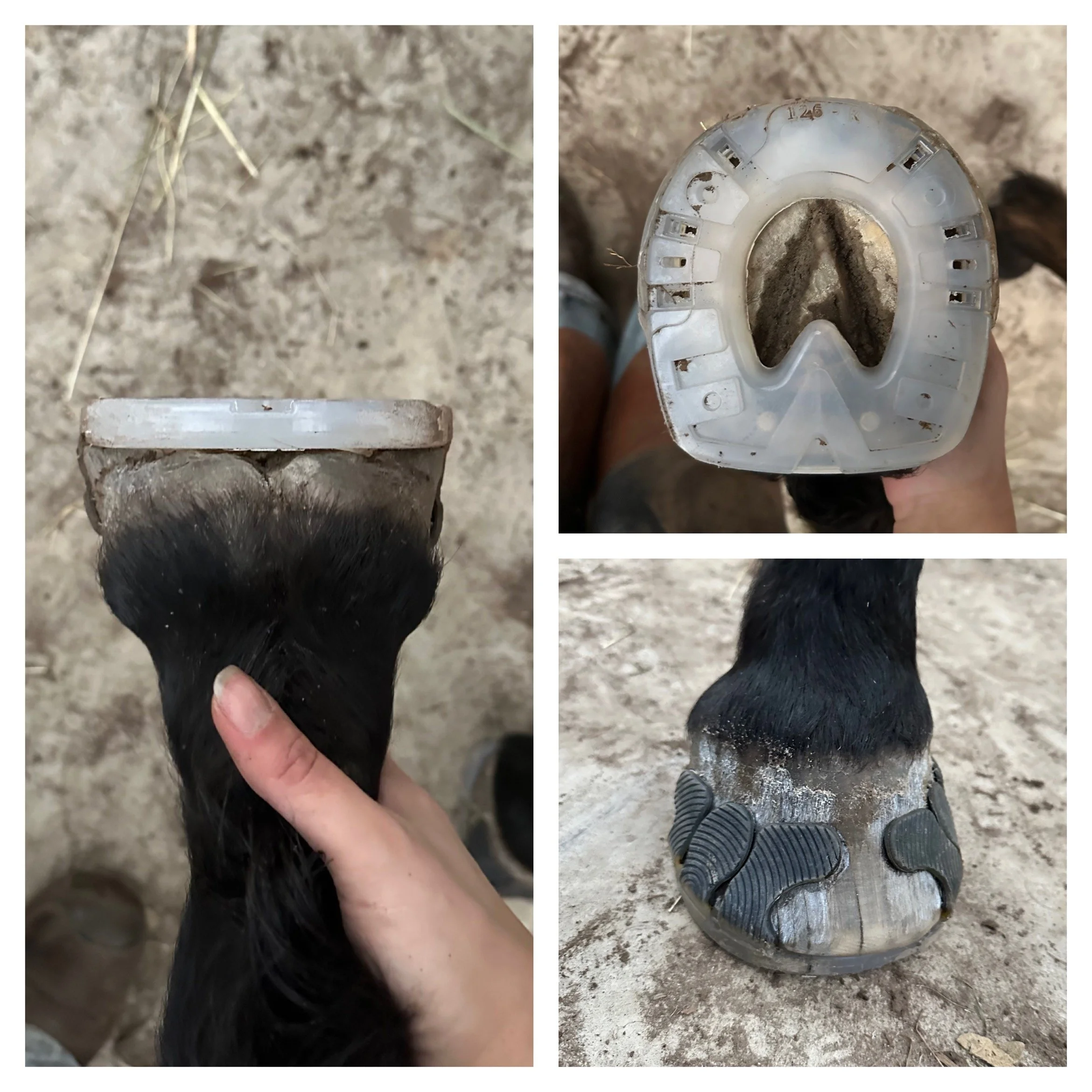 Close-up van een paardenhoef, een hand houdt de hoef vast, de zool is zichtbaar en er ligt zand en stof in.