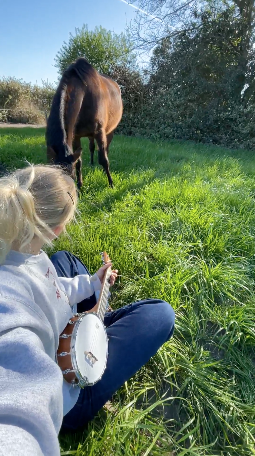 Een persoon met blond haar die op gras zit en gitaar speelt, terwijl een bruin paard graast op een groene weide met struiken en bomen op de achtergrond onder een blauwe lucht.