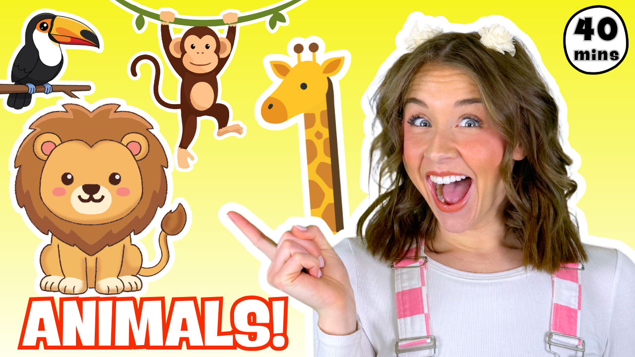 Learn the Animals