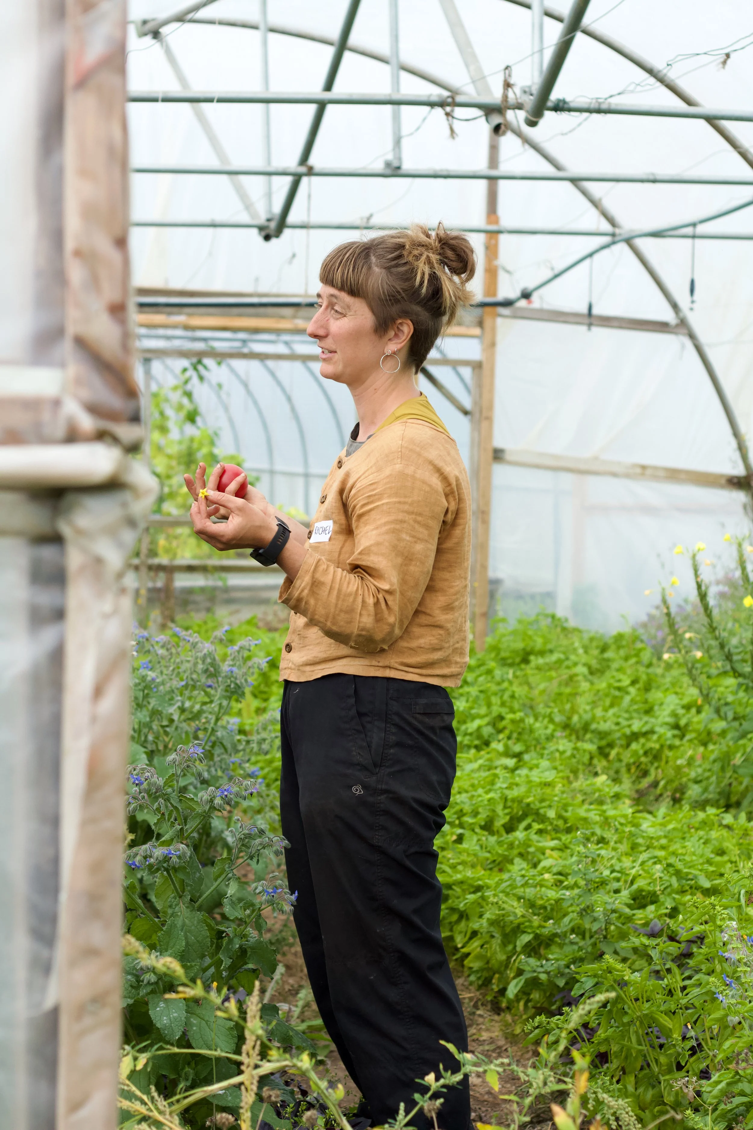 Sutton Community Farm