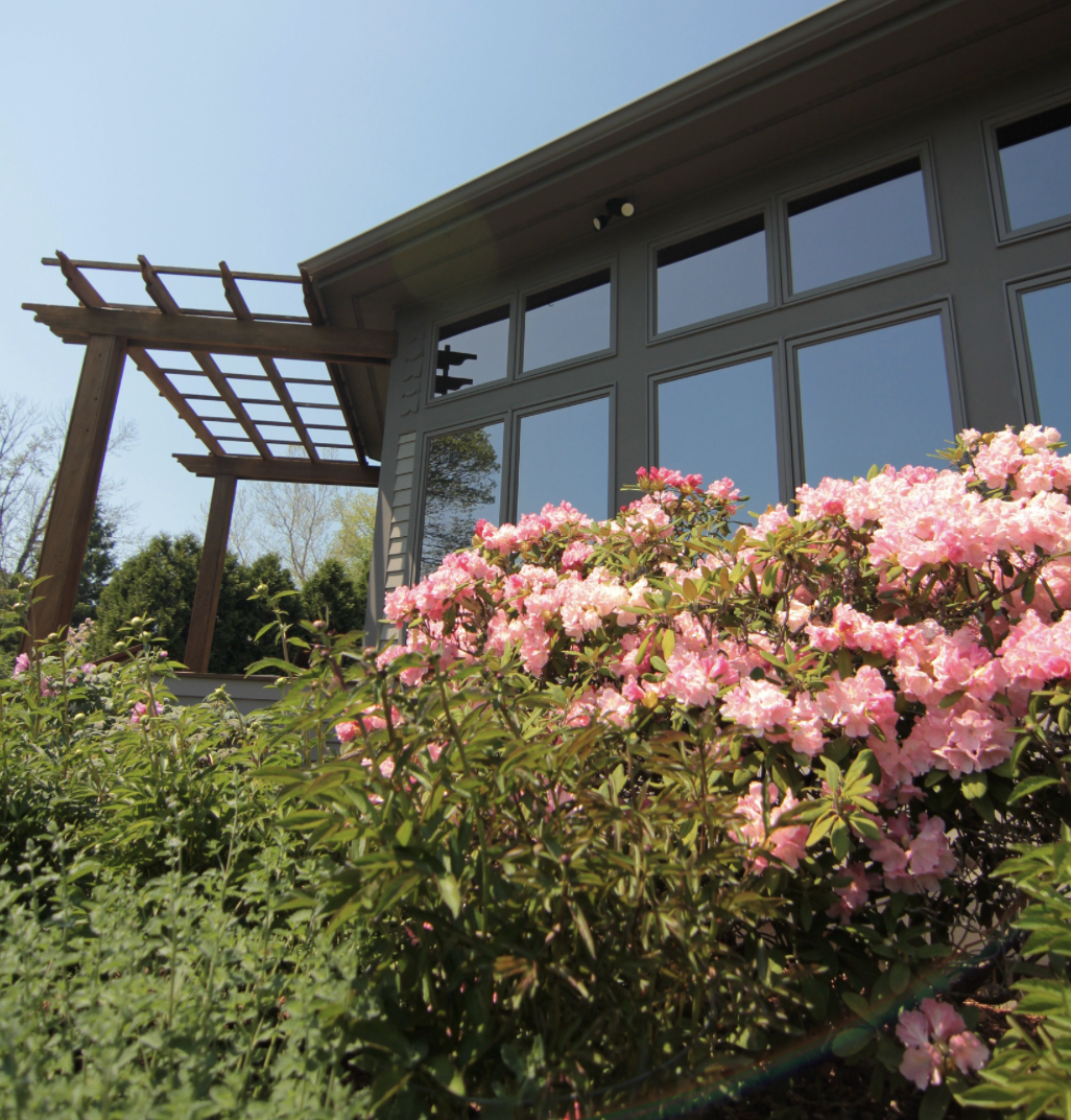 A house with large windows and a wooden pergola; pink rhododendron flowers blooming in the foreground, trees in the background, clear sky.