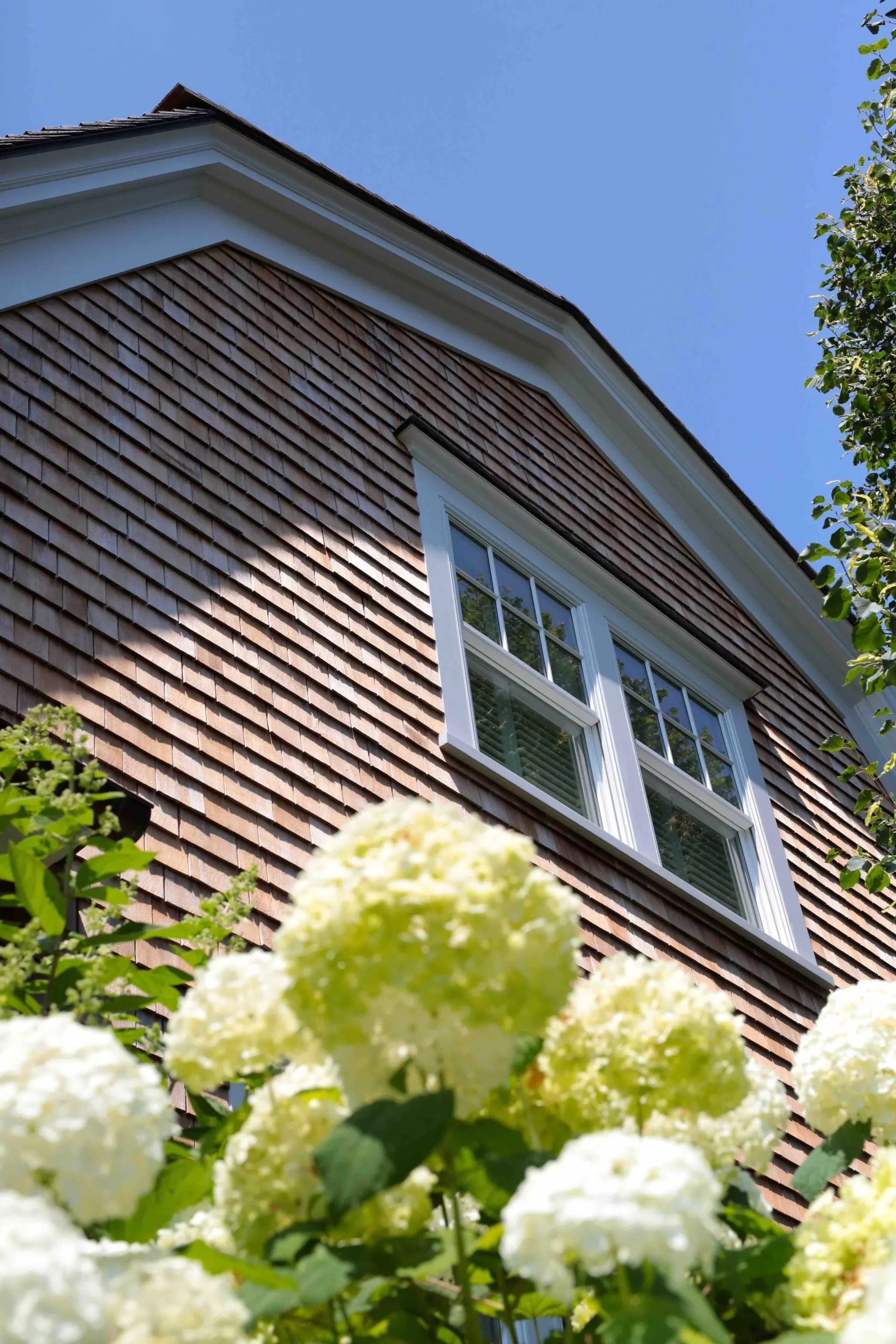 Close-up of white hydrangea flowers in the garden foreground, a house with brown shingles and white window frames in the background, under a clear blue sky with a few green leaves on the side.