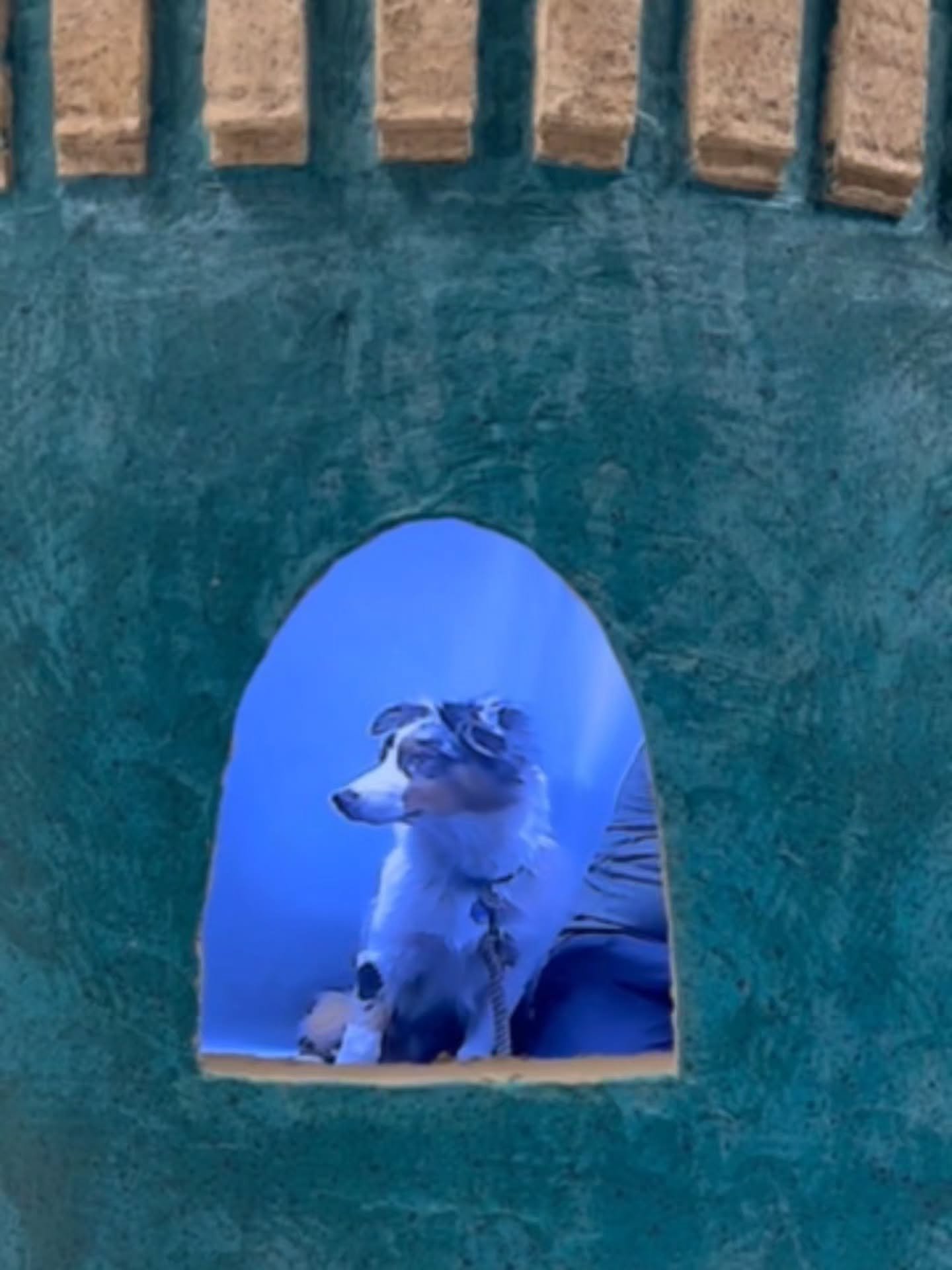 @arnoldthebookdog testing out some hidden corners in Bob Lost: @boyofpainting, opening next month