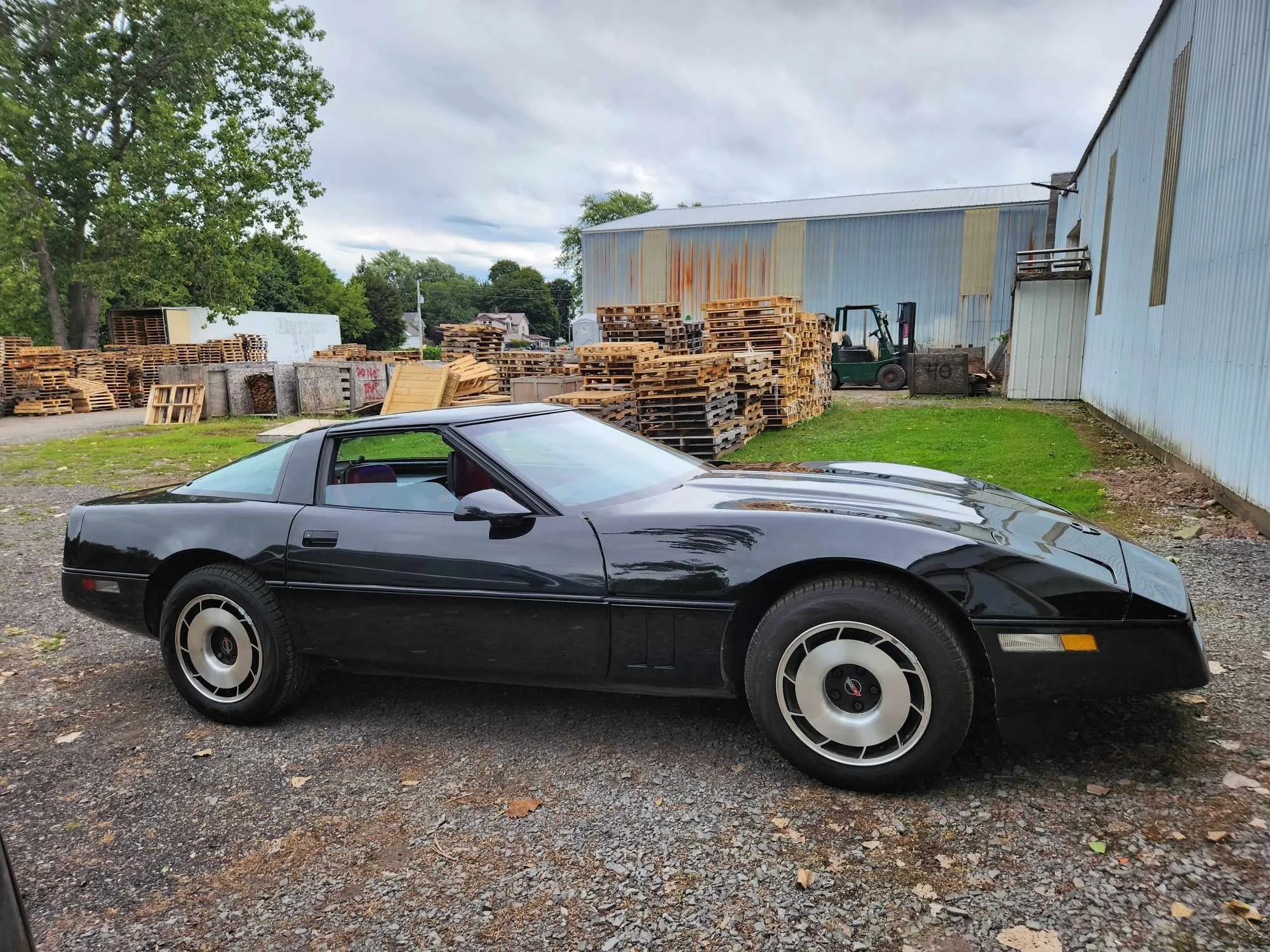 91 Corvette