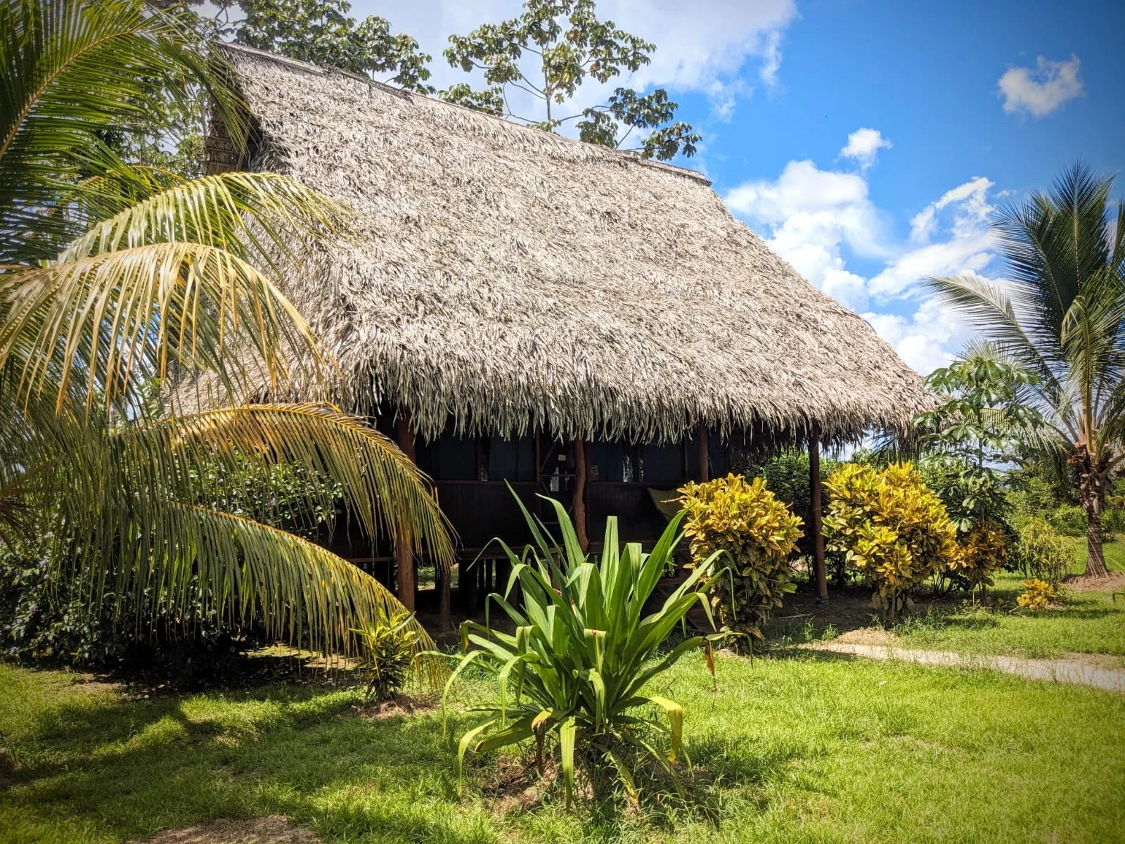 image_123650291 (15).jpg