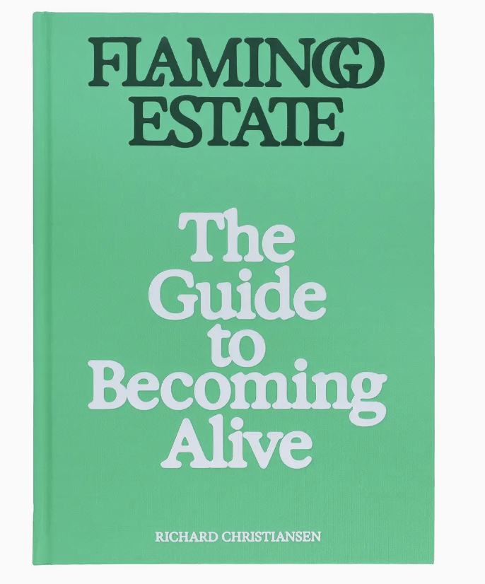 The Guide to Becoming Alive- Flamingo Estate