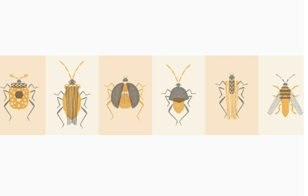 Screenshot 2025-12-02 at 8.50.06 PM.png