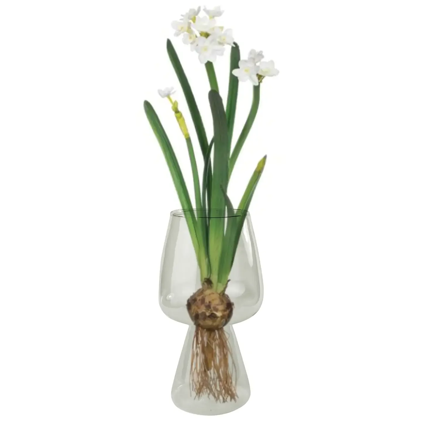 Mini Orchid Bulb Vase