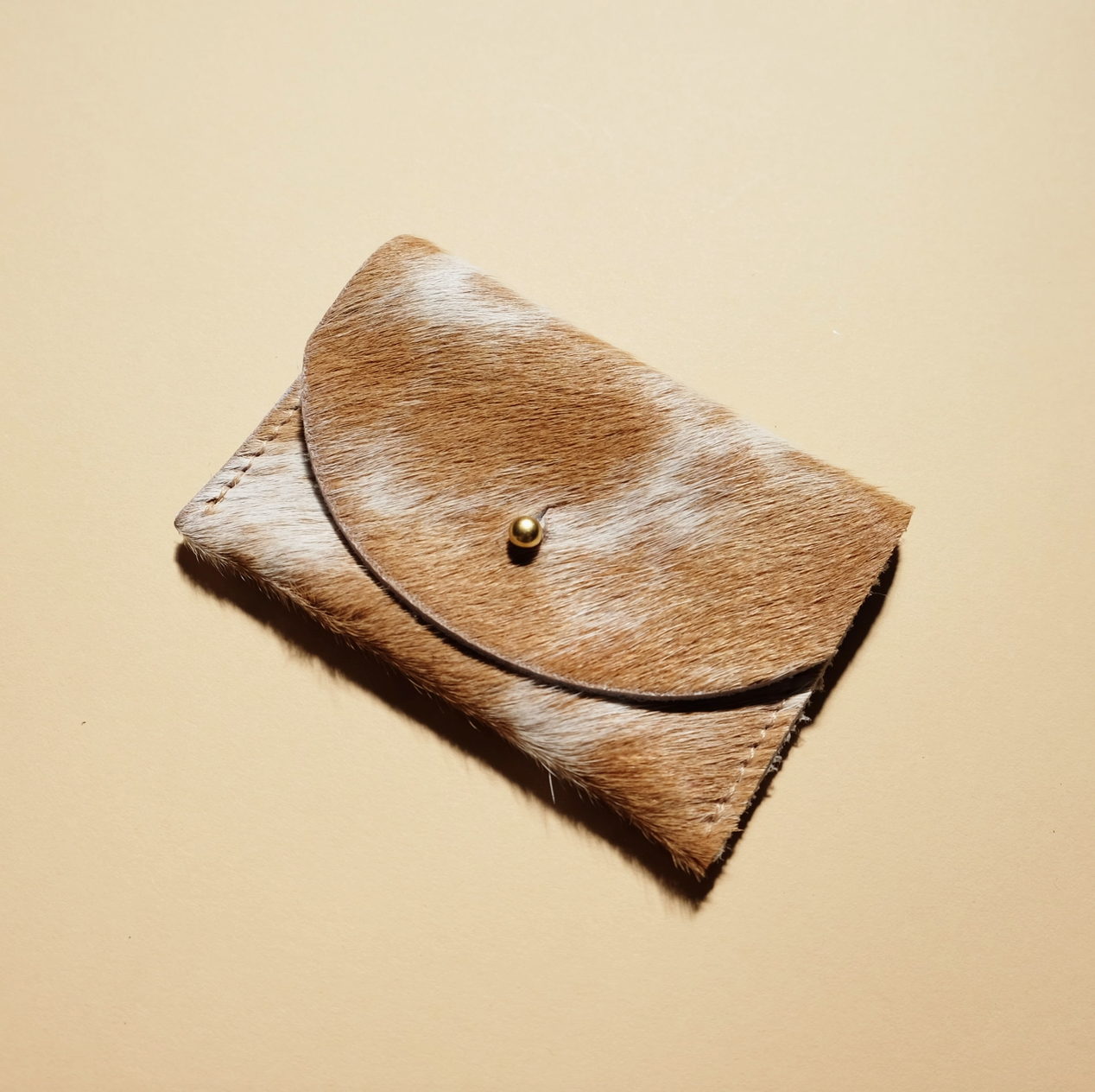 Screen Shot 2026-02-25 at 12.49.20 PM.png