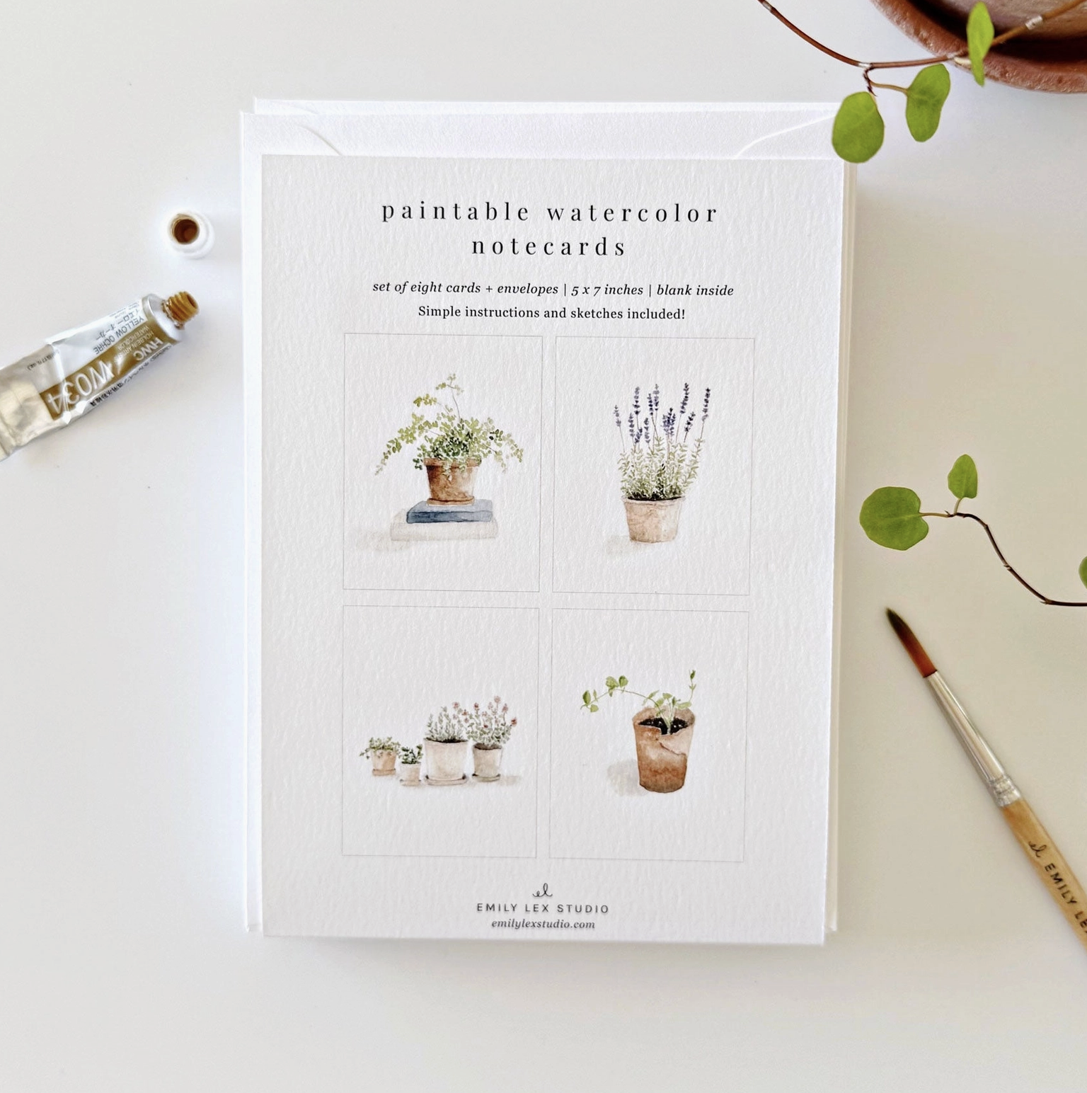 Emily Lex Potted Plants Paintable Watercolor Notecard Set