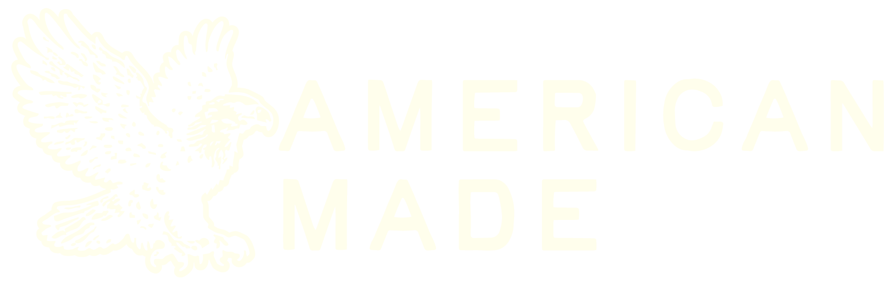 Black background with white text that reads "American Made" next to a detailed white illustration of a bald eagle with outstretched wings.