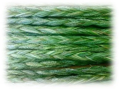 Reweaving our relationship with the earth