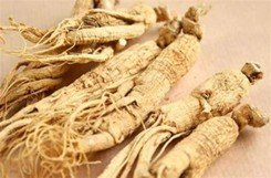 Siberian Ginseng and its Role in Adrenal and Thyroid Health