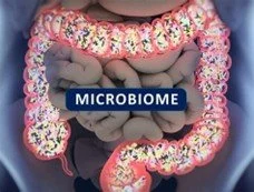 The Power of Probiotics and Prebiotics in Supporting Your Digestive System