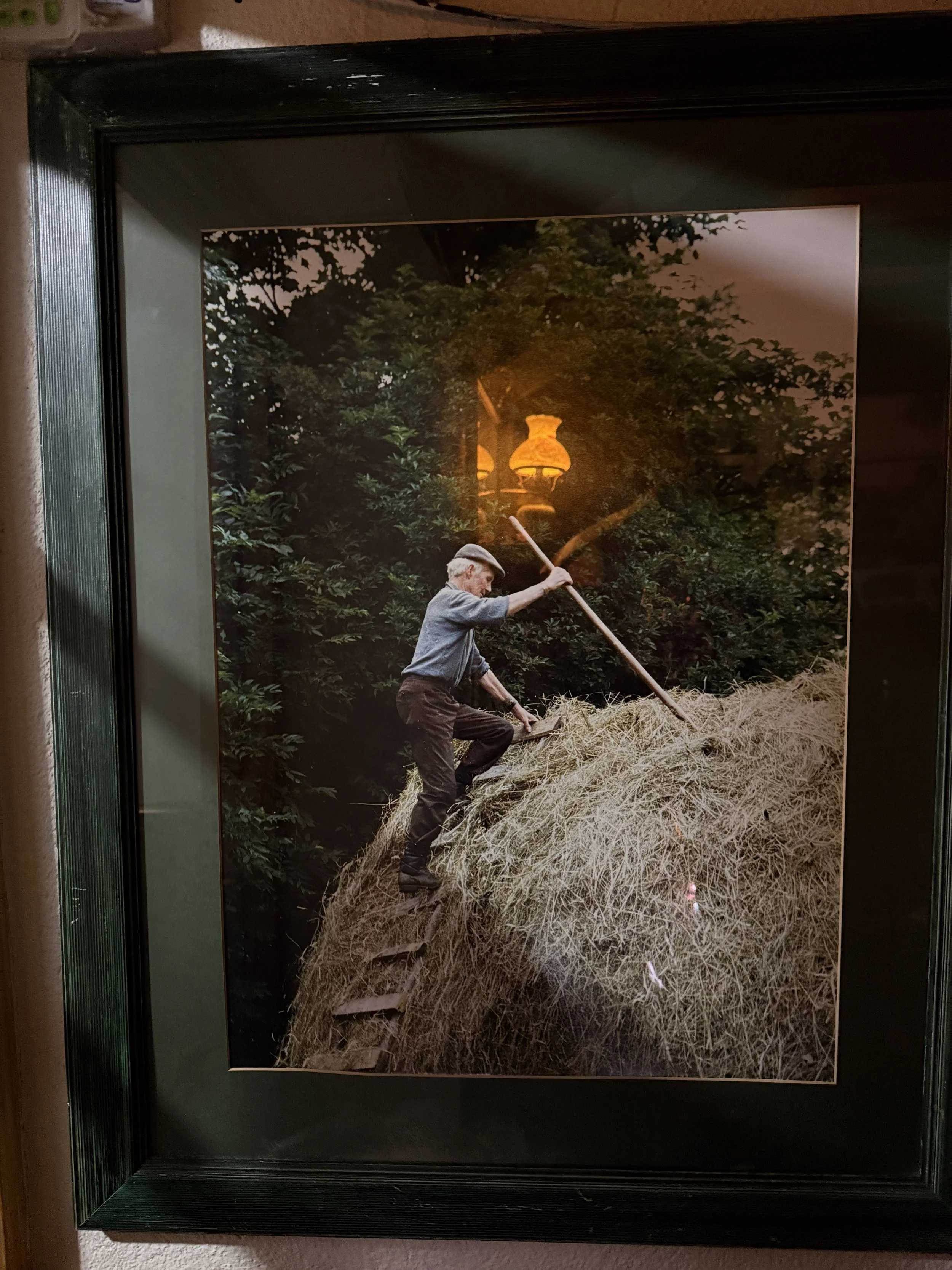 Old photo of man doing Hay