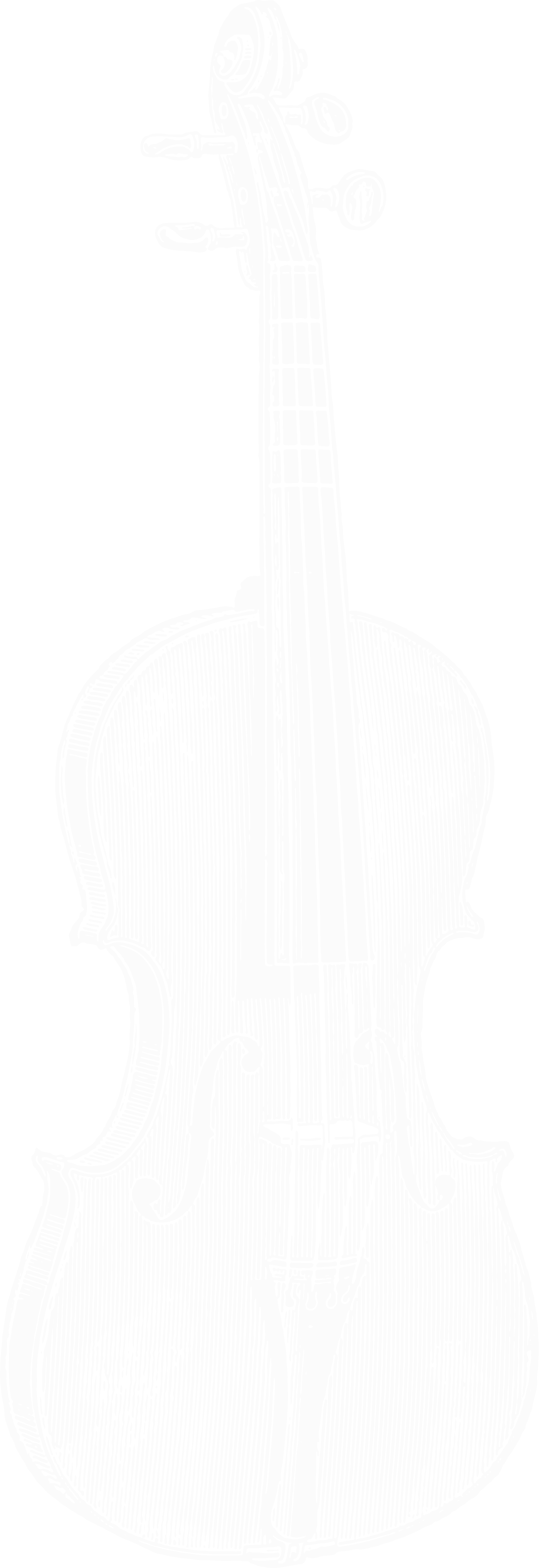 A black and white drawing of a classical violin viewed from the front.