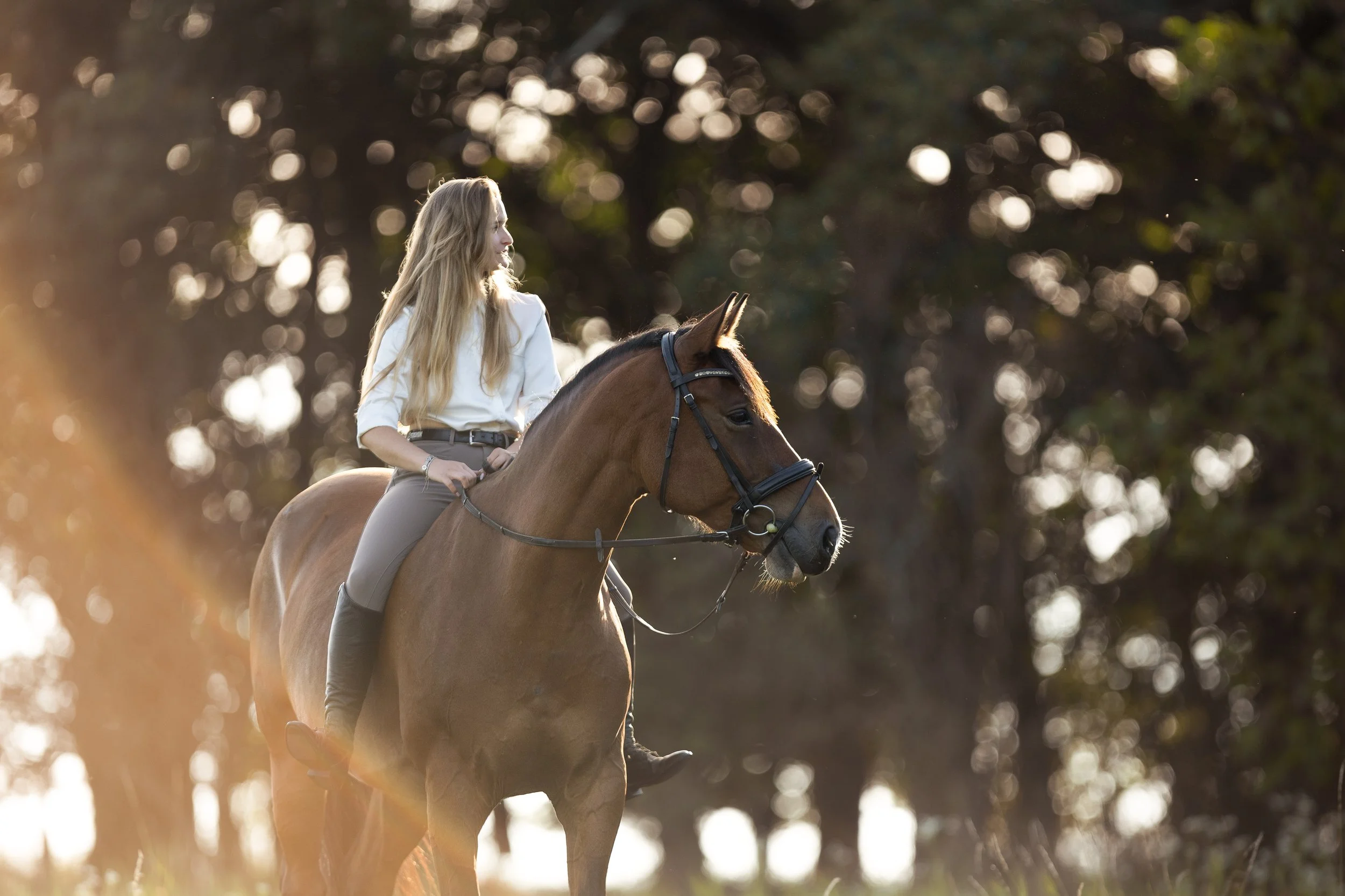 Žena jede na hnědém koni venku během zlaté hodinky, se stromy v pozadí.