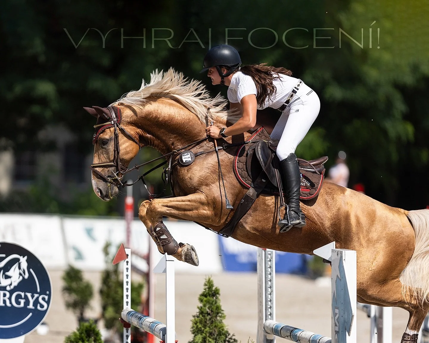 💥🎁Prvn&iacute; soutěž na tomto profilu!🎁💥
Vyhraj soukrom&eacute; focen&iacute; dle tv&eacute; chuti! Jestli bude&scaron; cht&iacute;t nafotit momentky s tv&yacute;m životn&iacute;m parť&aacute;kem, nafotit/natočit tr&eacute;nink nebo jen m&iacute