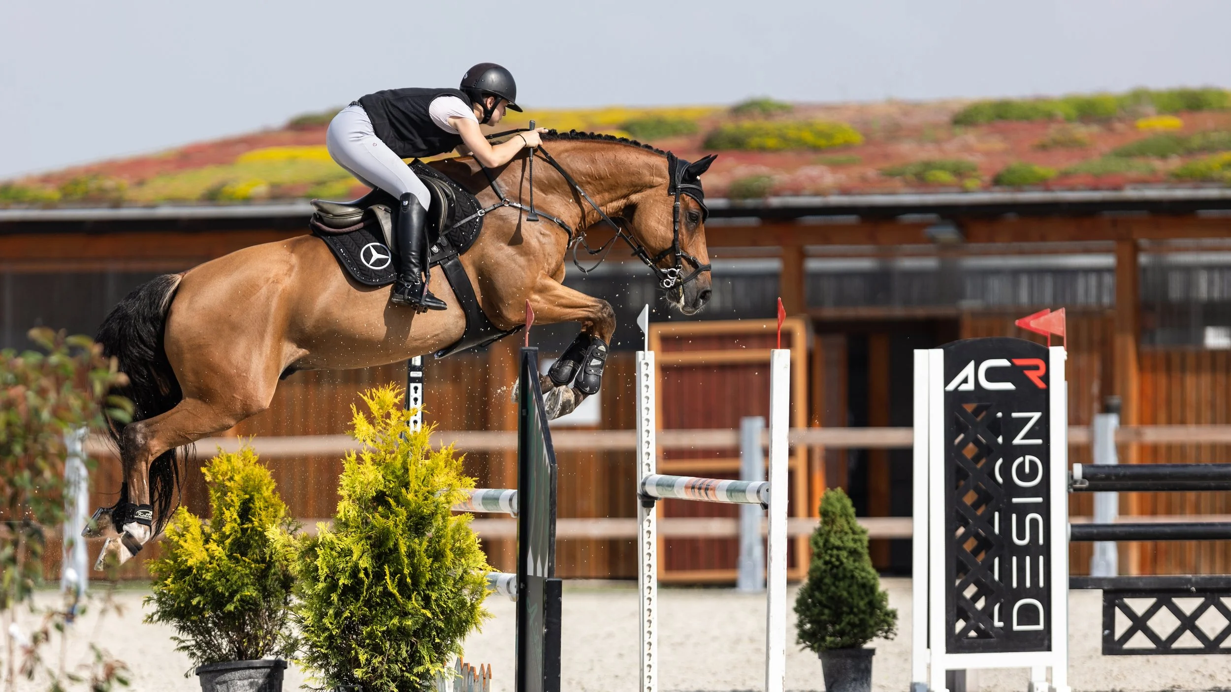 Jezdec na koni skáče přes překážku během jezdecké soutěže; jezdec má helmu a jezdecké vybavení, v pozadí je dřevěná konstrukce a rostliny.
