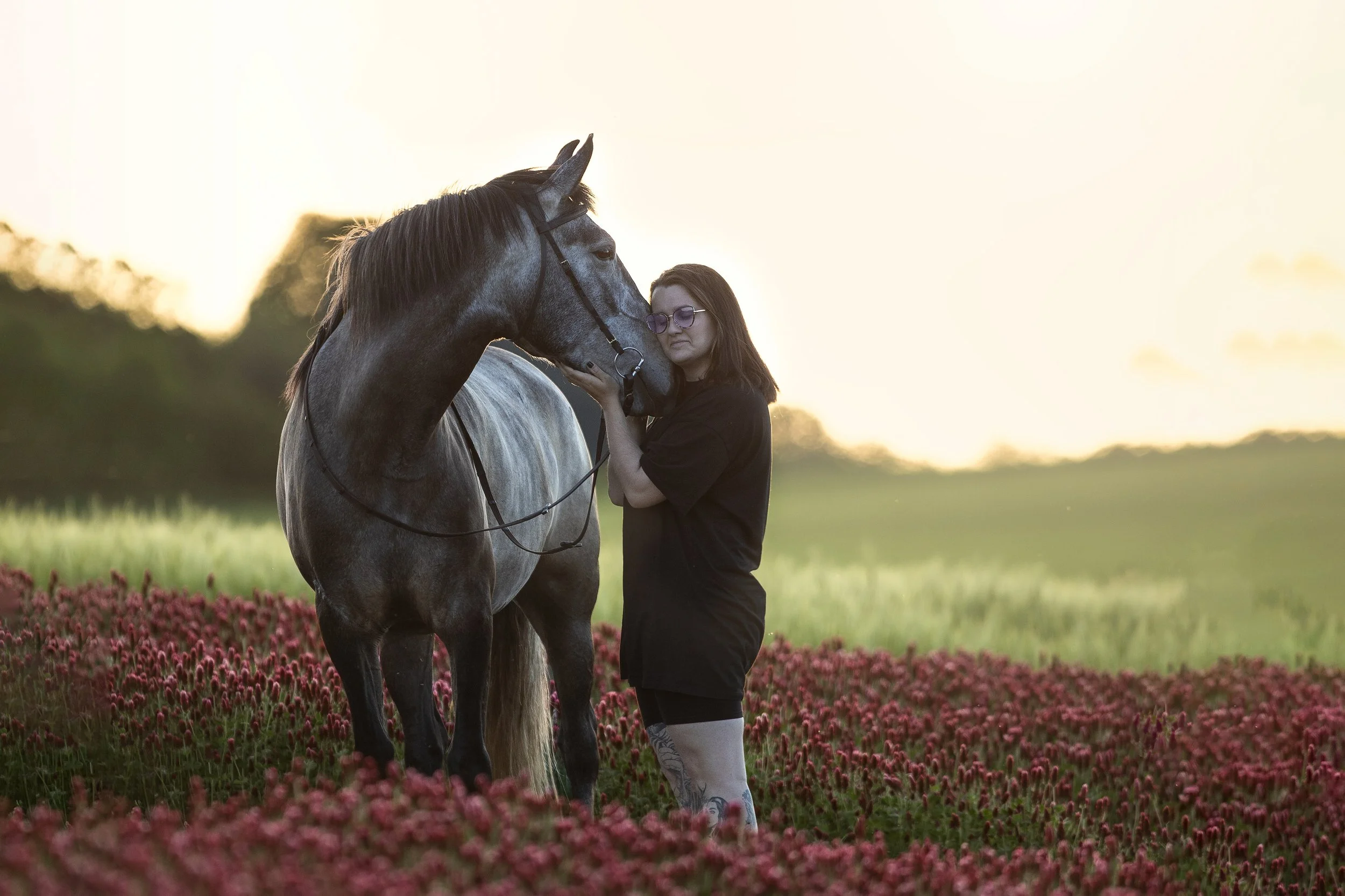 Žena s brýlemi a tetováním na noze stojí vedle šedého koně na poli růžových květů při západu slunce a jemně se dotýká jeho hlavy.