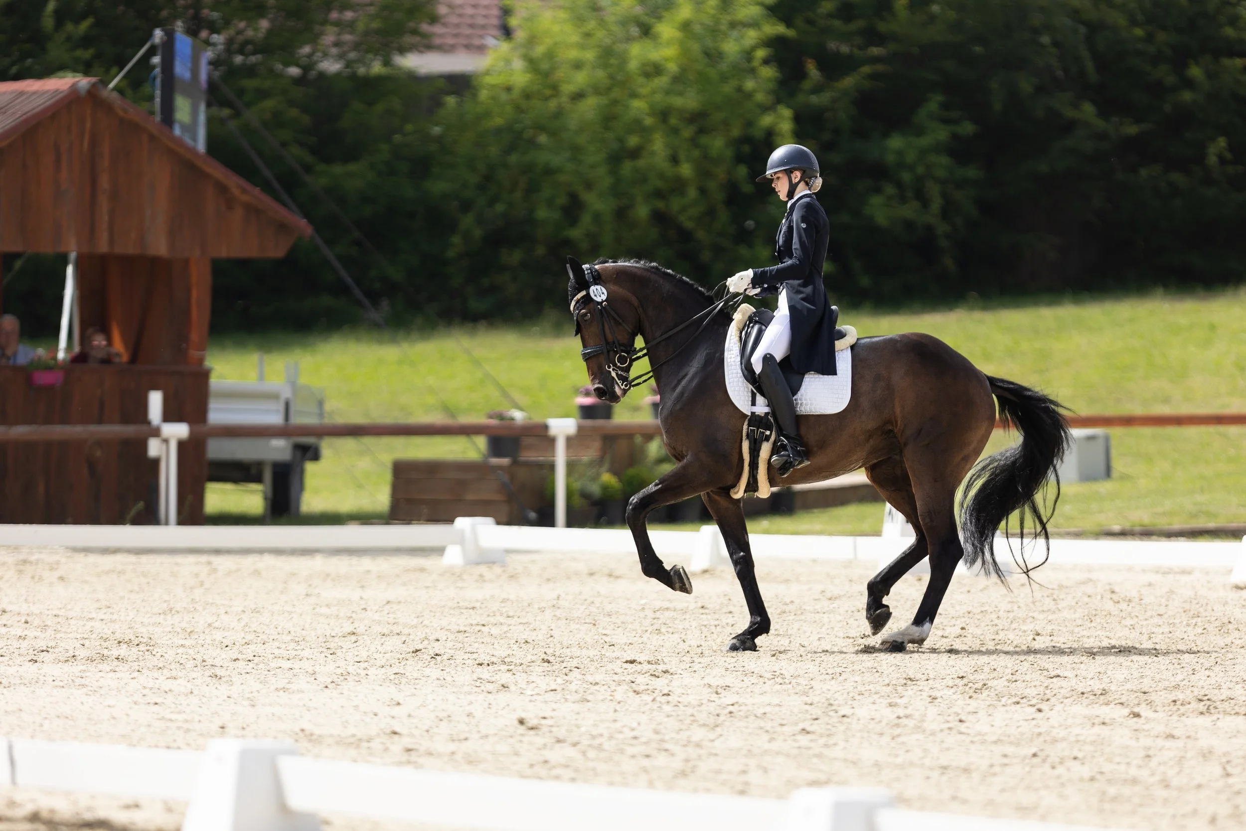 Osoba ve slavnostním jezdeckém oblečení jede na koni po drezurní jízdárně s bílými bariérami, zelenými stromy a dřevěnou stavbou v pozadí.