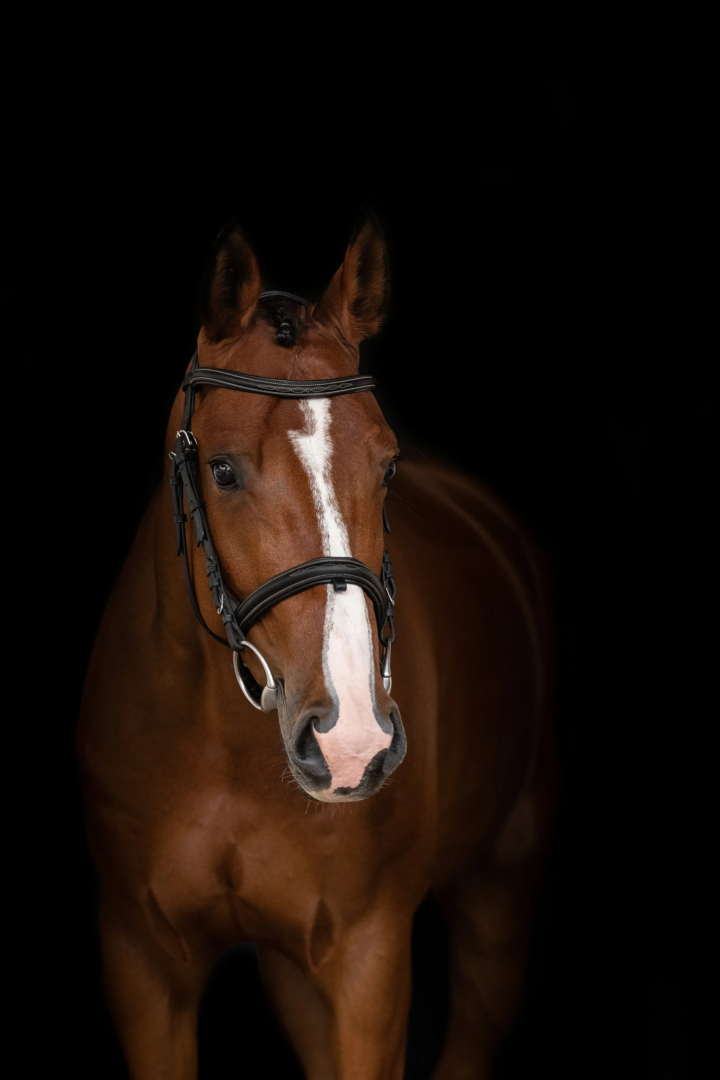 Černé pozadí & pozlátka