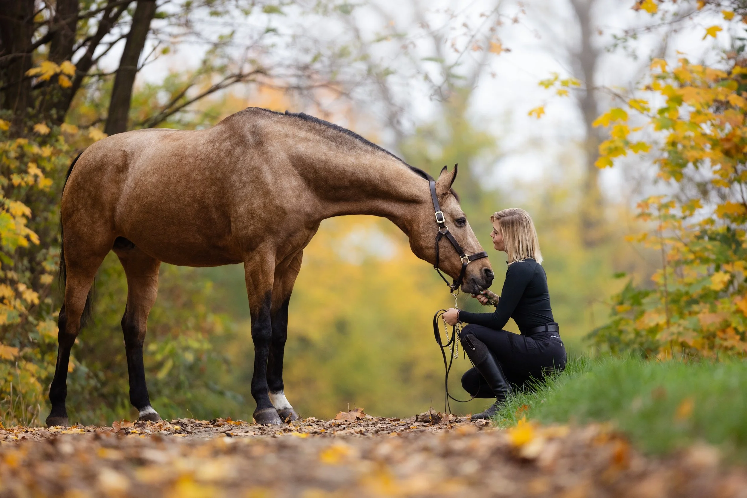 Žena klečící na zemi se dotýká koňského čumáku v podzimním lesním prostředí.