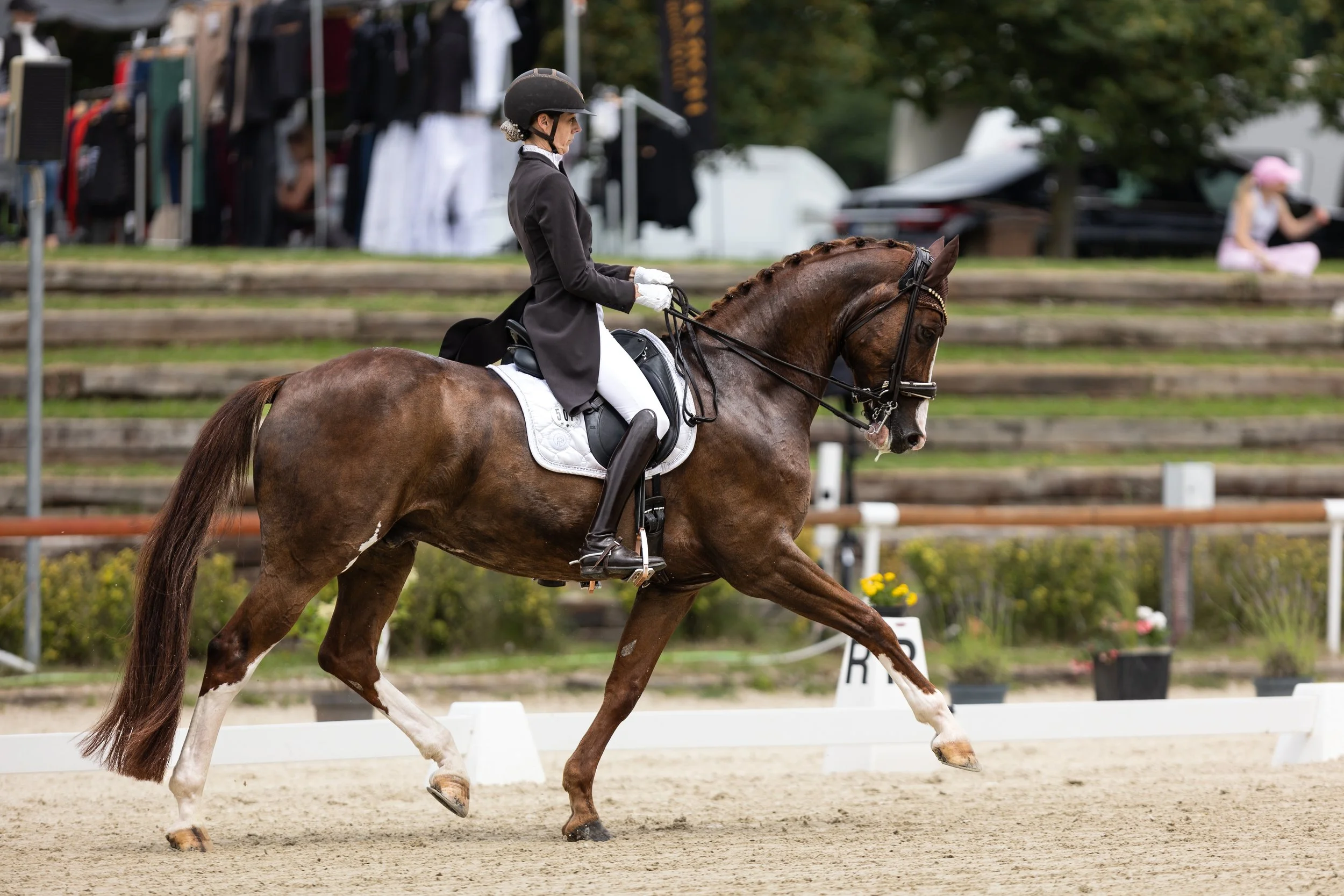 Jezdkyně ve slavnostním jezdeckém oblečení, včetně černé helmy, saka a bílých rajtek, jede na ryzákovi s bílou lysinou během drezurní soutěže na venkovní jízdárně.
