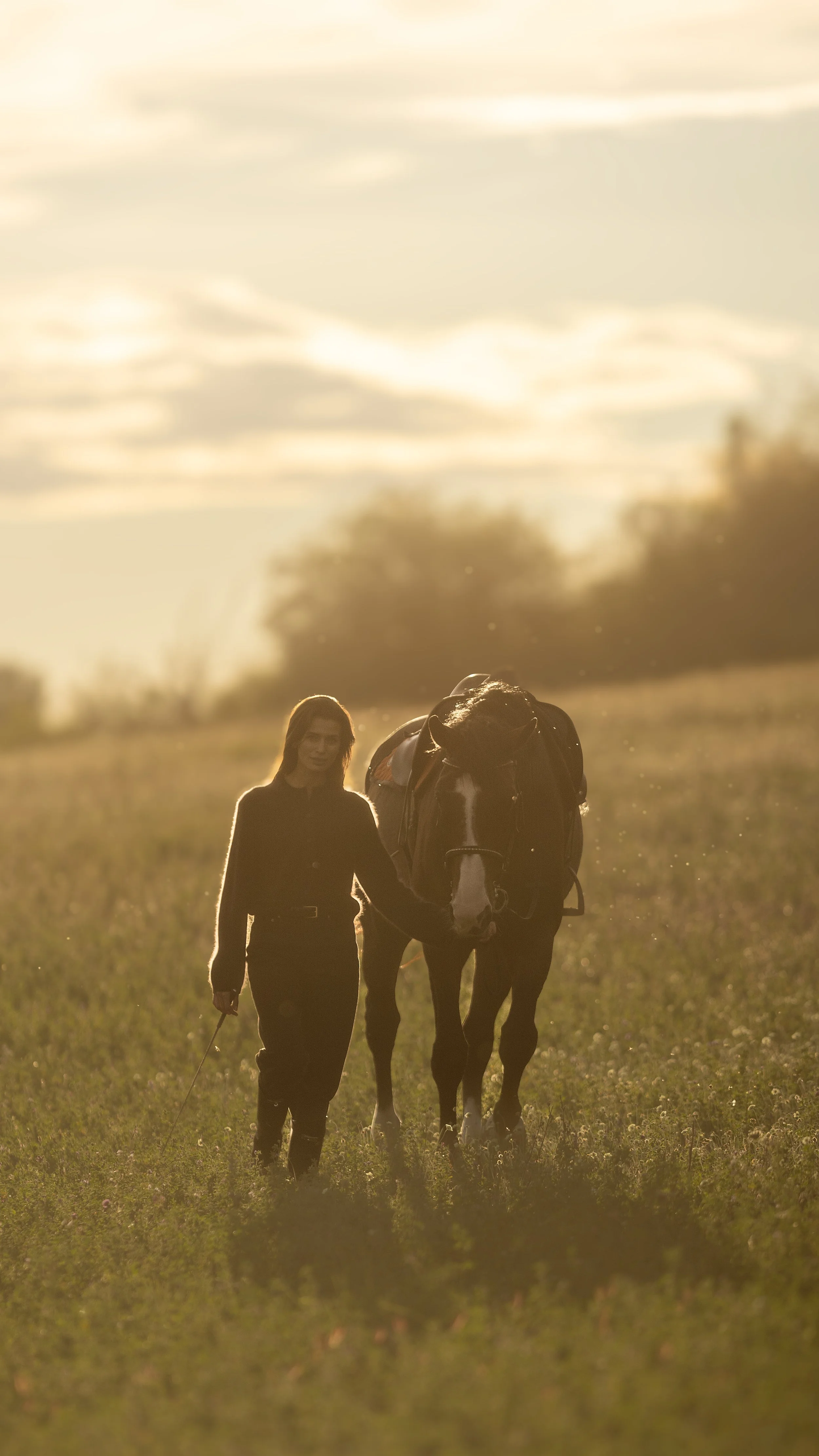 Žena kráčející vedle koně na travnaté louce při západu slunce.