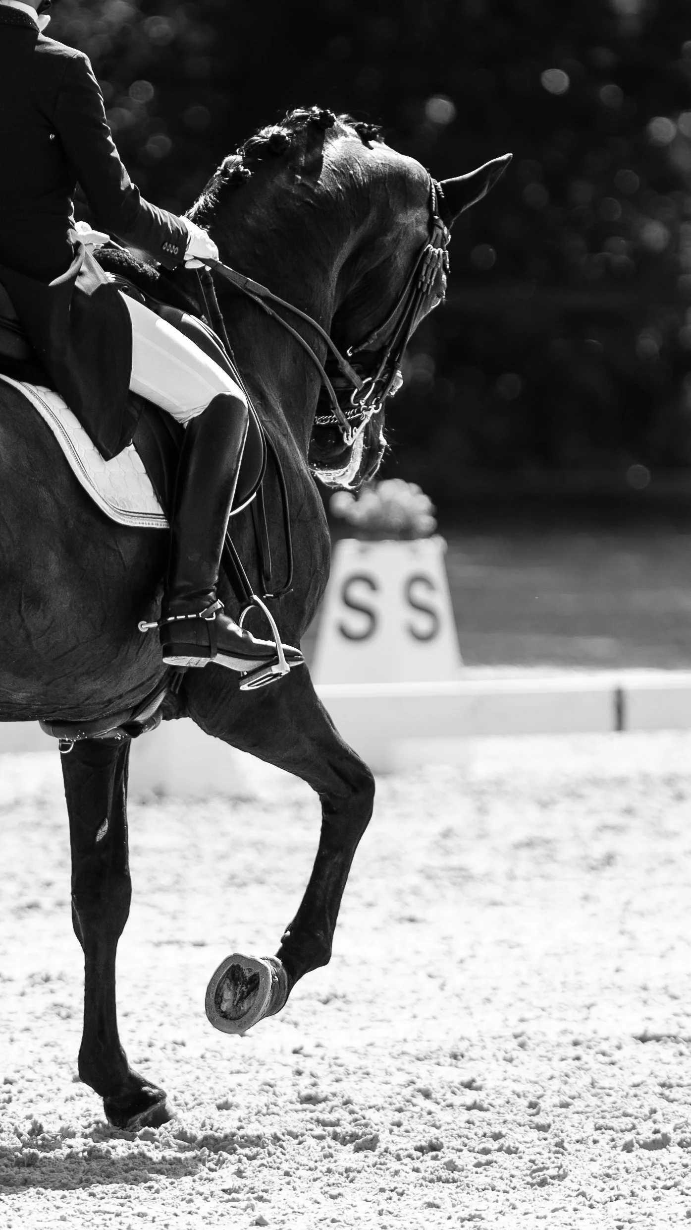 Osoba jede na koni po písčité jízdárně, v pozadí jsou drezurní písmena, černobíle.