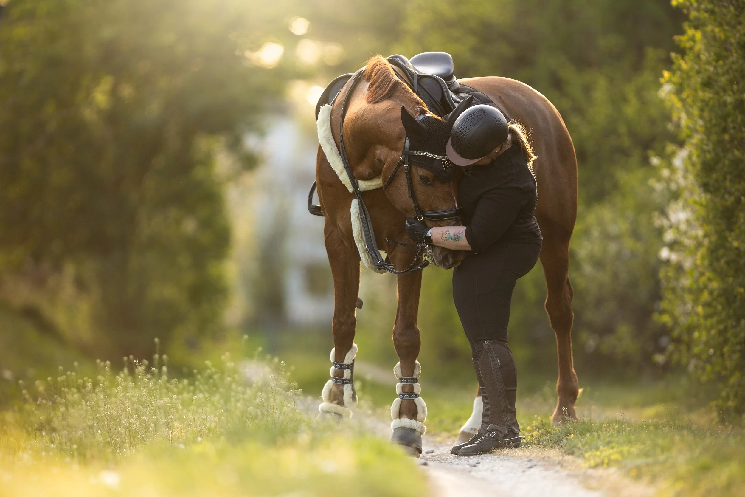 Osoba v černém oblečení upravuje uzdu hnědému koni na polní cestě obklopené zelenými stromy; kůň má bandáže na nohou a sedlo, během slunečného dne.