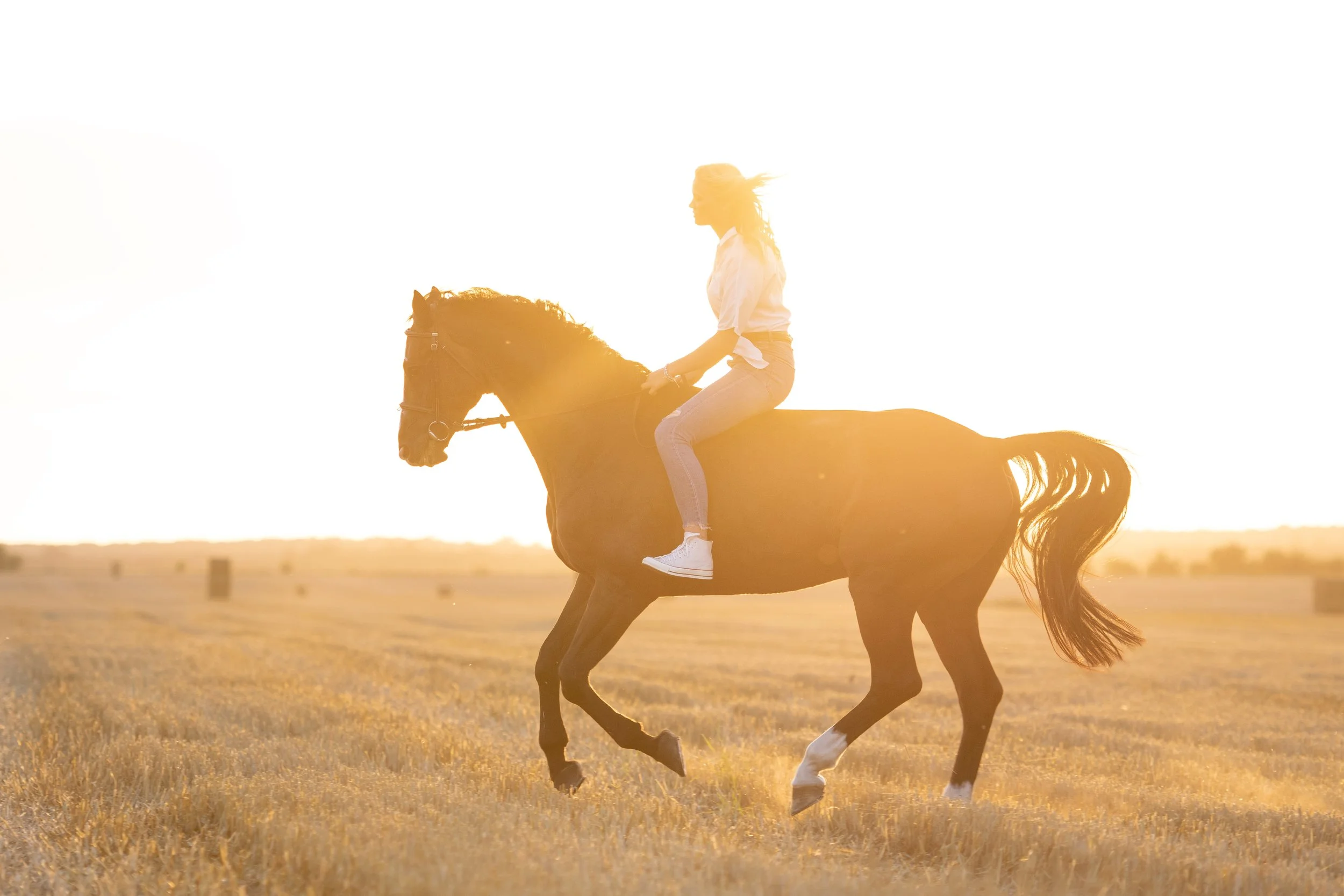 Žena jedoucí na cválajícím koni na sluncem zalité otevřené louce při západu slunce.