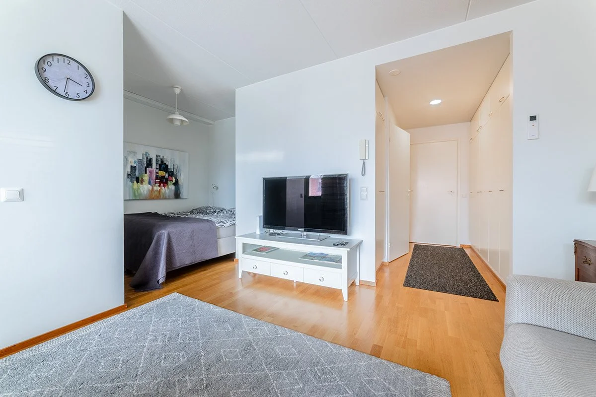 Olohuone ja makuuhuone, moderni sisustus, TV, taulu ja sohvansivut