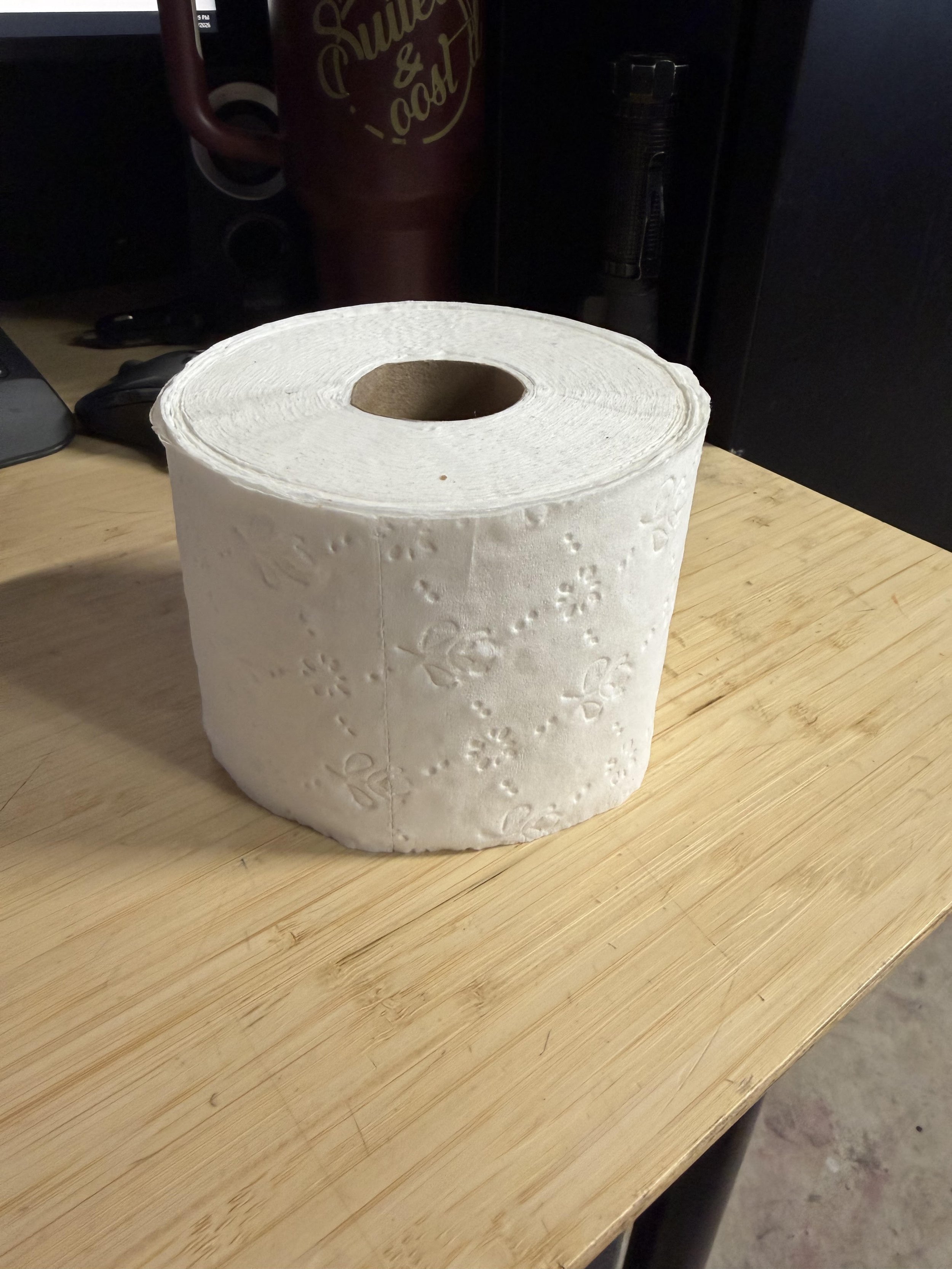 TOILET PAPER SIZE.jpg