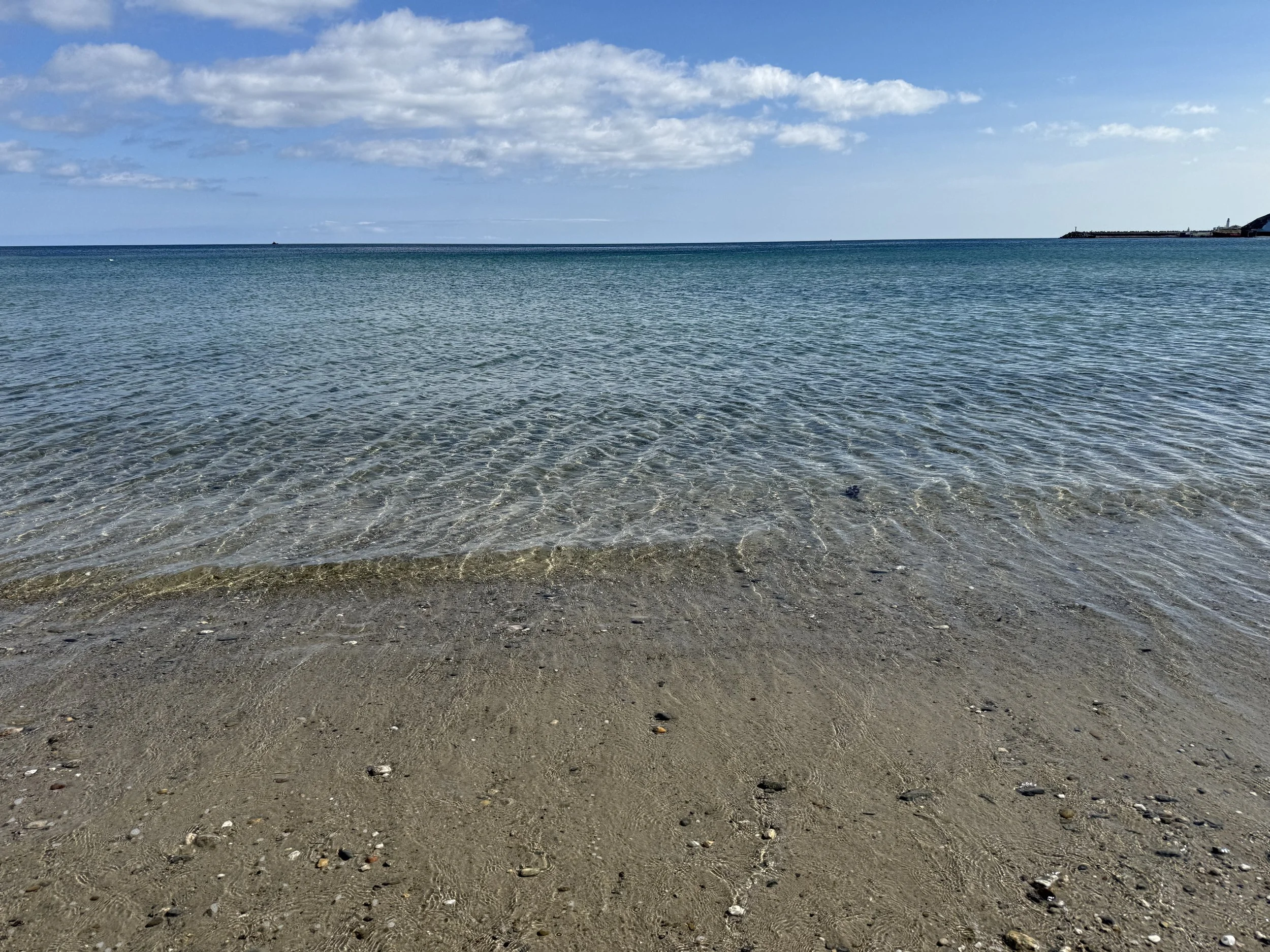 IMG_4719.jpeg