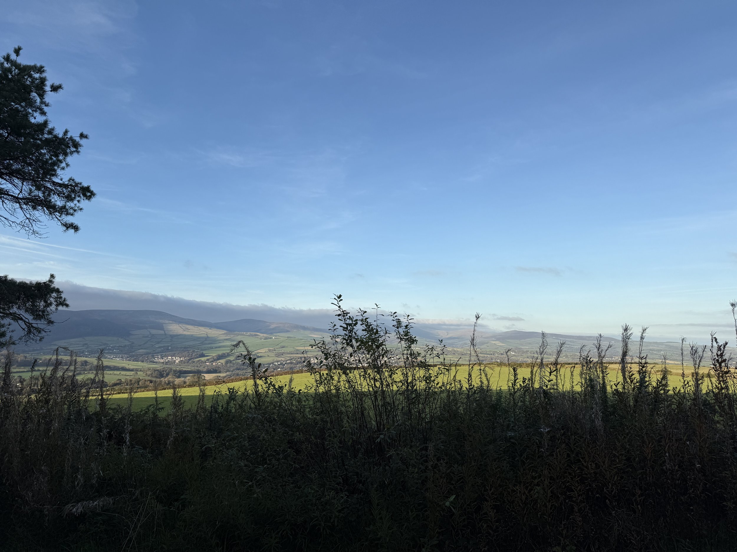 IMG_5843.jpeg