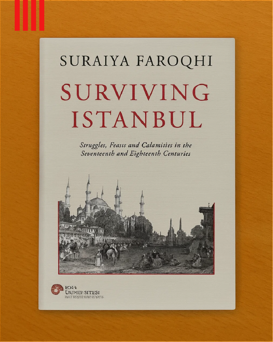 İstanbul’da Yaşam Mücadelesi