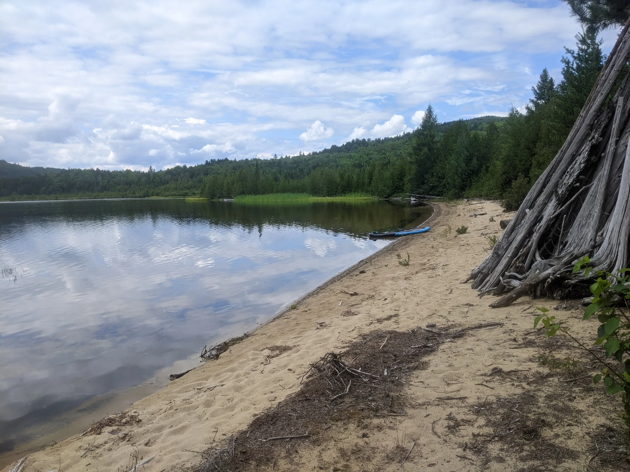 Beach across the lake, dogs favorite paddling destination. The cabin comes with a canoe that stays on the shore. 