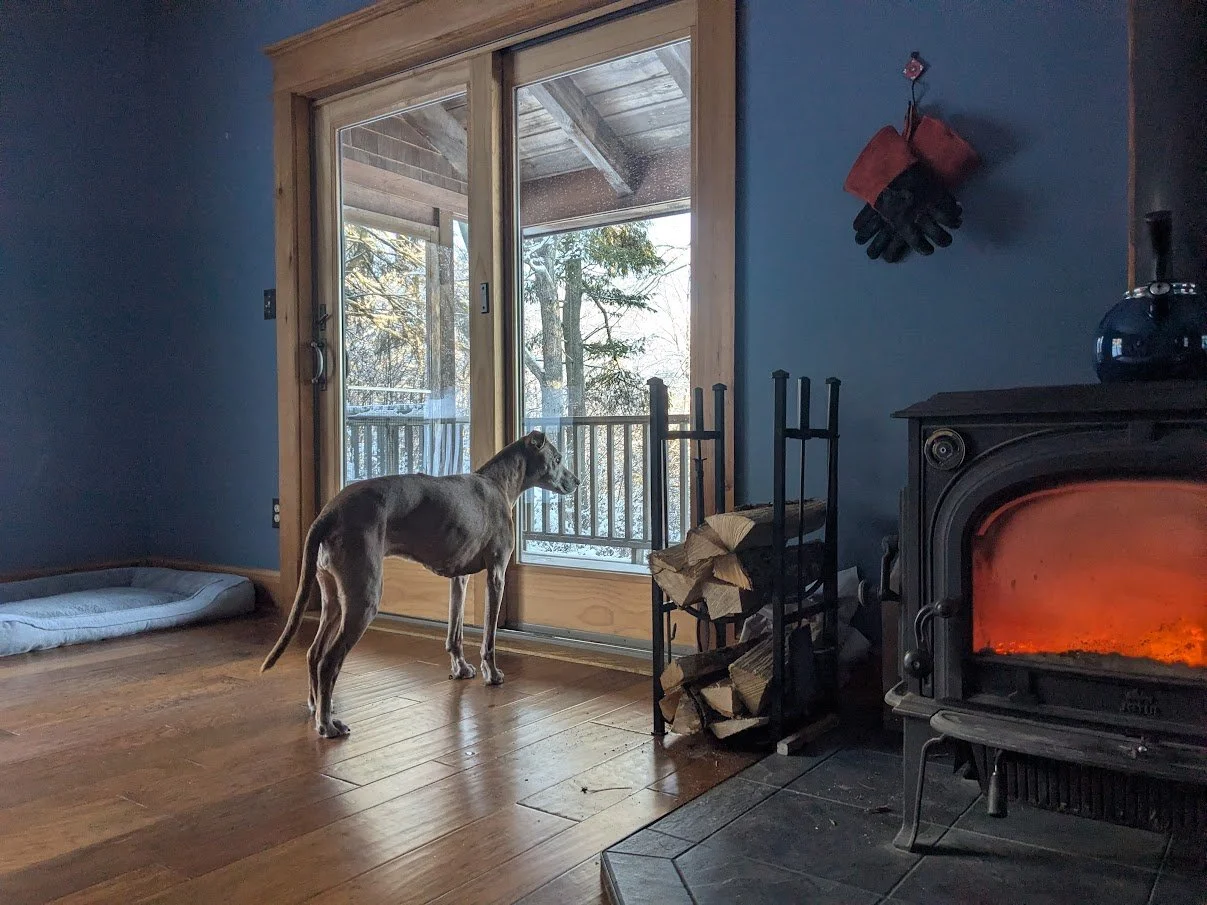 winter-woodstove-fire-izzy.jpg
