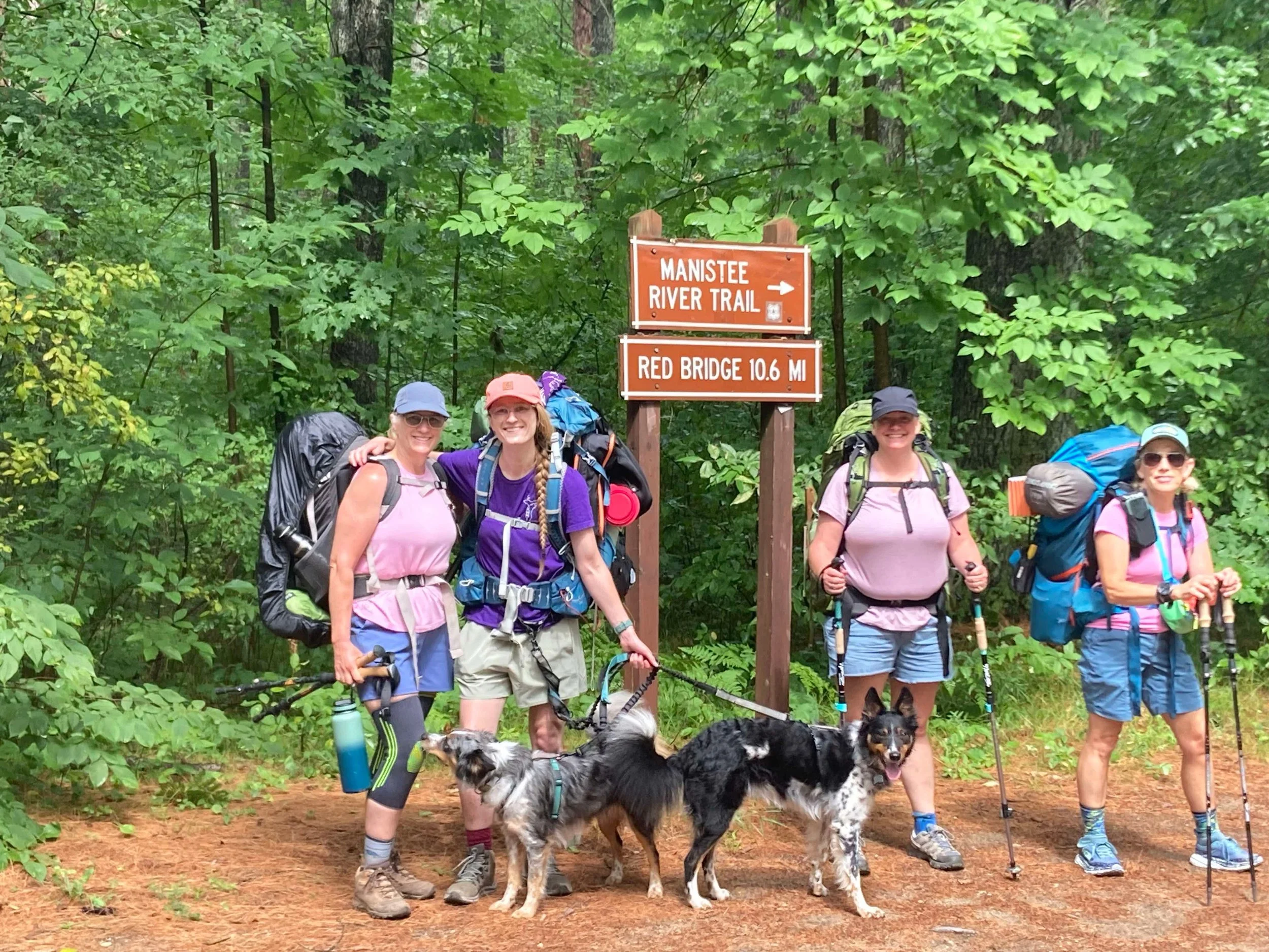 July Backpacking at the Manistee River Trail