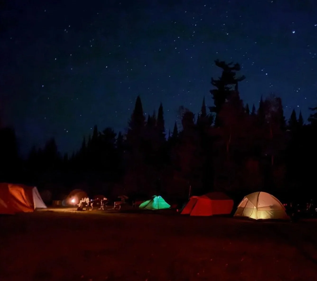 Nighttime camping scene with tents illuminated under a starry sky, surrounded by tall dark trees.