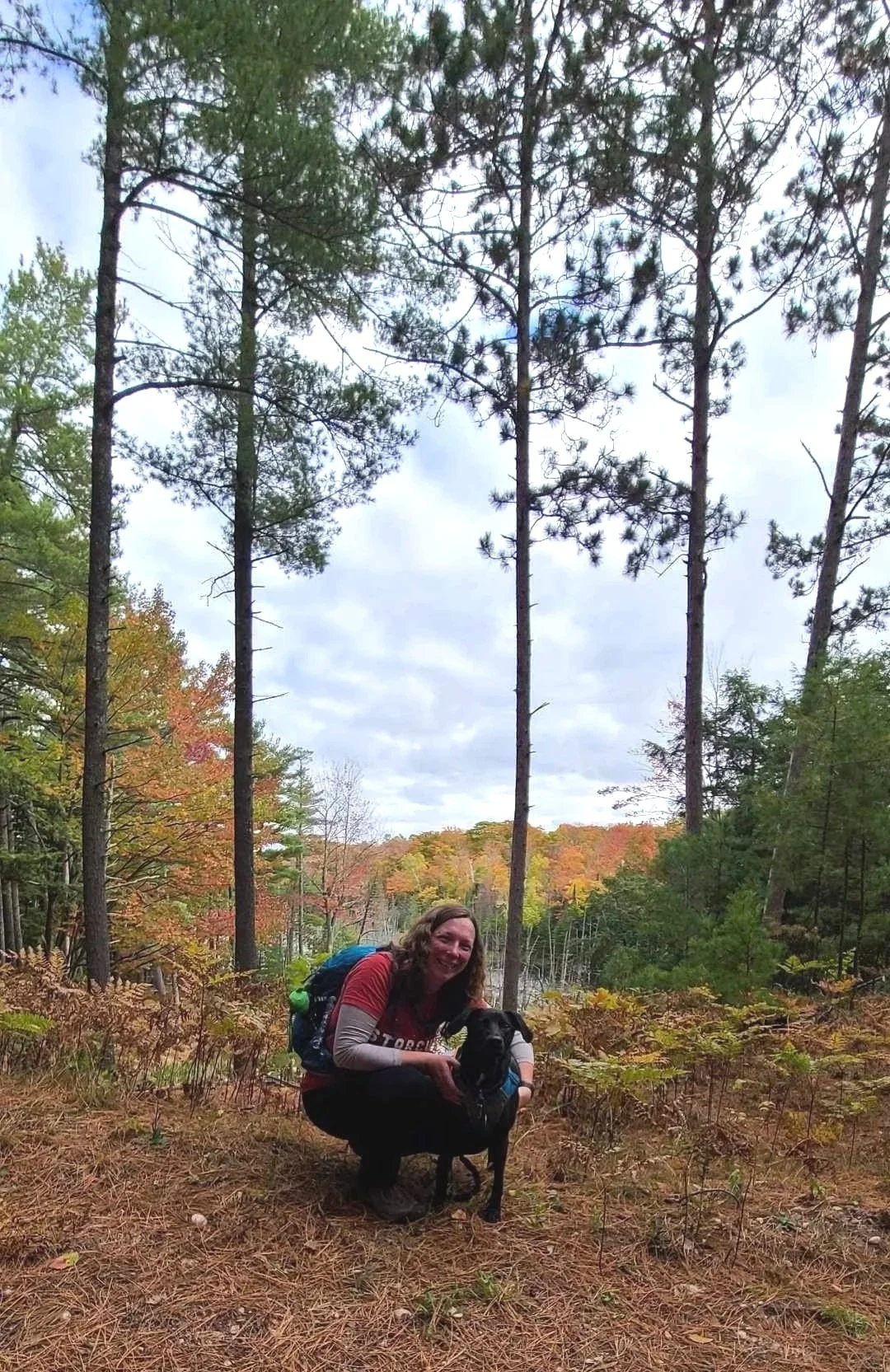 A woman with long brown hair wearing a red and gray shirt, black pants, and hiking boots, crouching beside a black dog with a blue harness in a forest with tall trees and fall foliage.